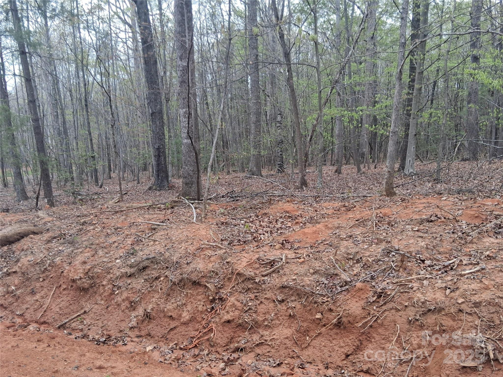 2270 Magnolia Place #5 - Photo 19