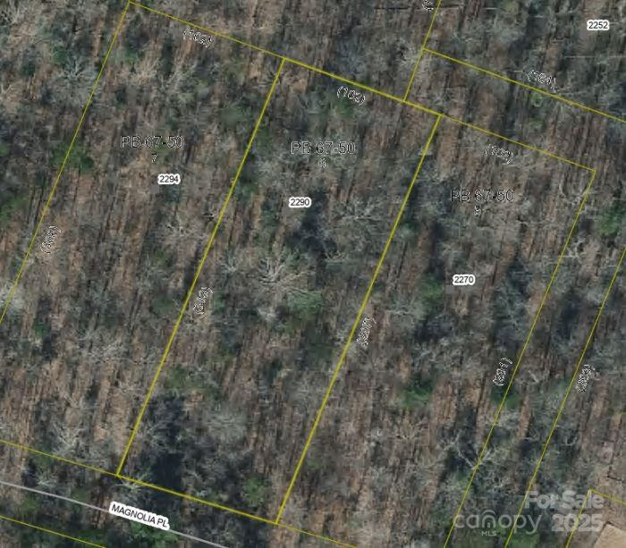 2290 Magnolia Place #6