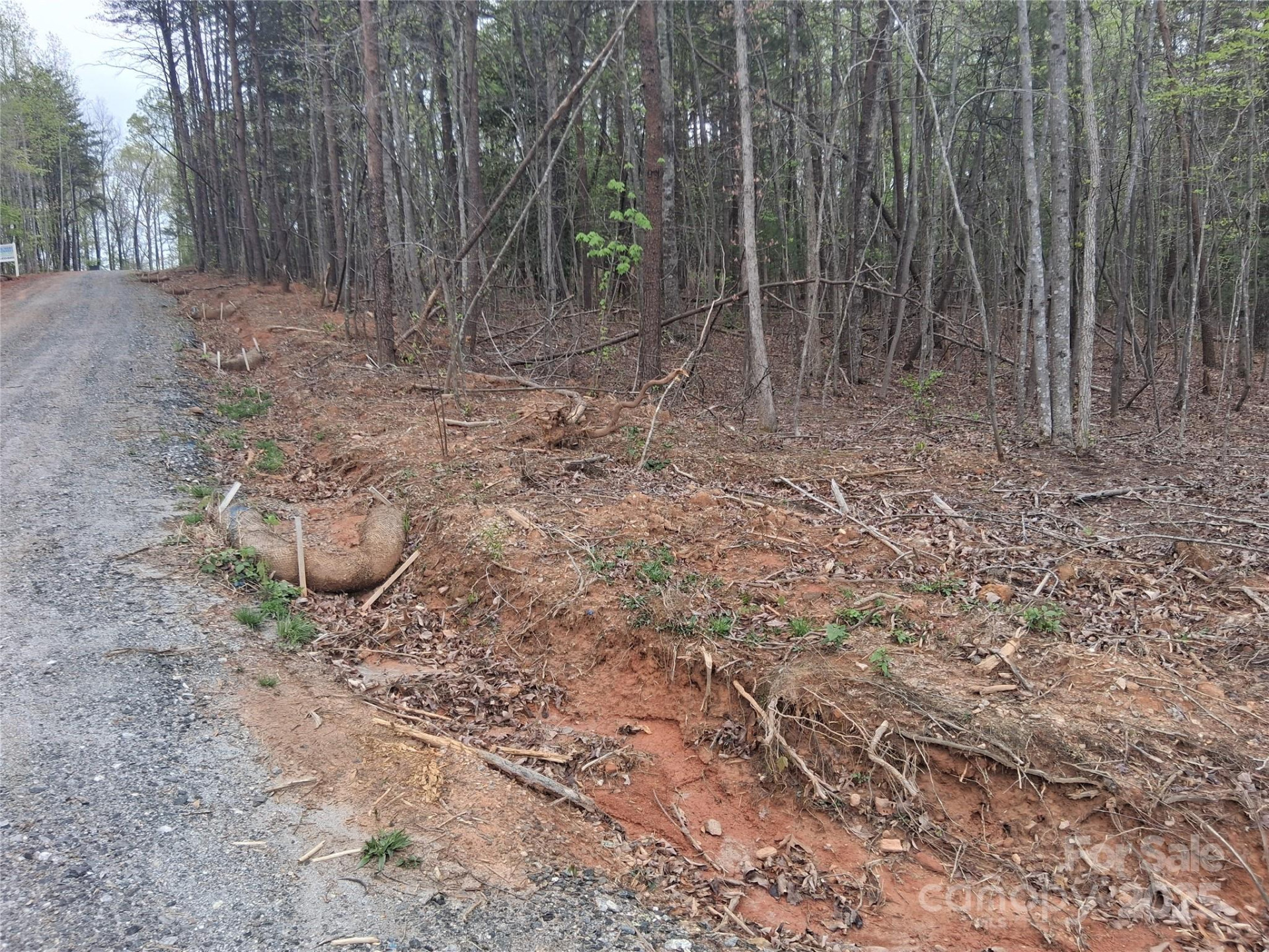 2308 Magnolia Place #9 - Photo 25