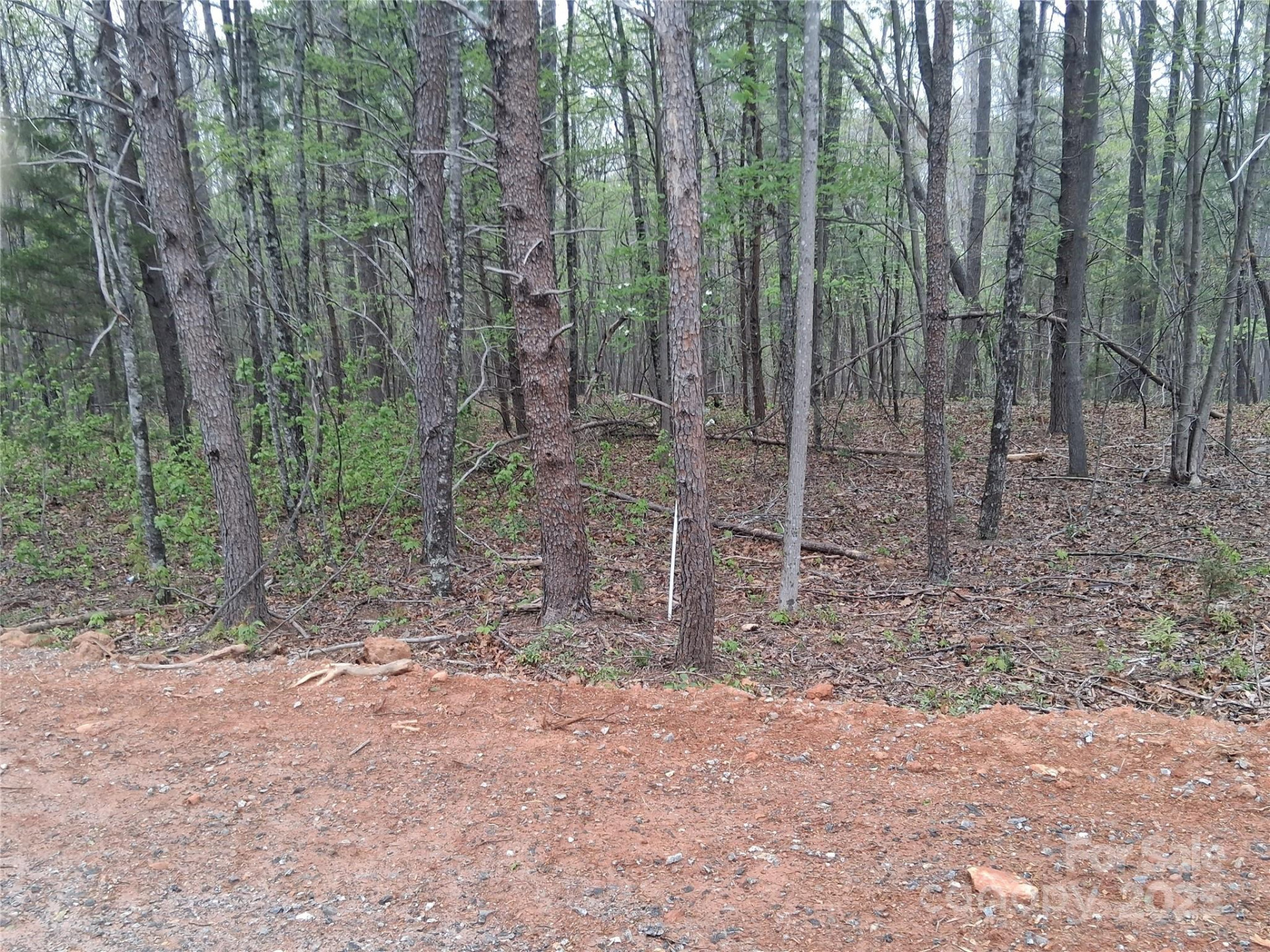 2301 Magnolia Place #13 - Photo 13