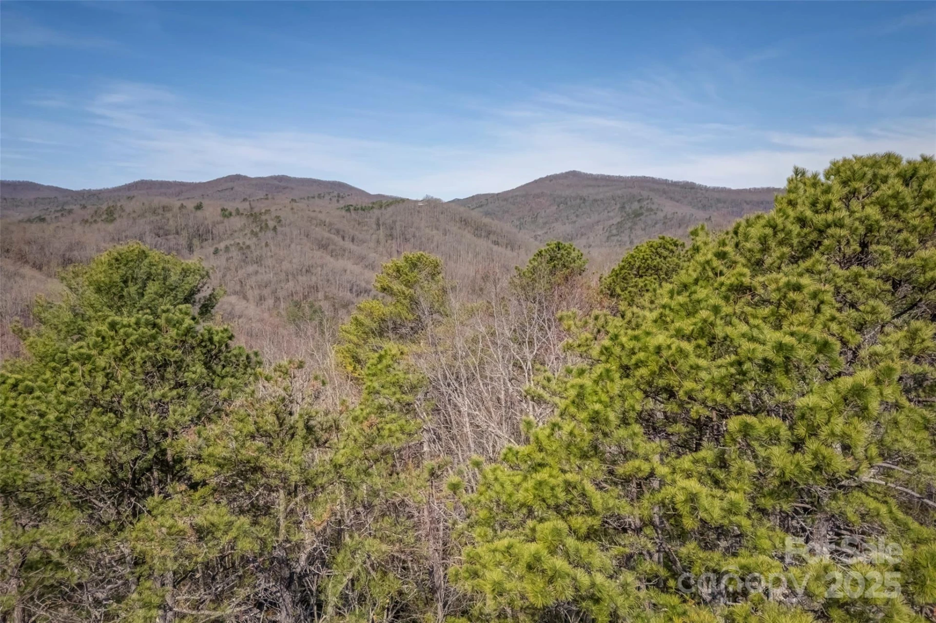 lot 3 Heavenly Hill Road #3