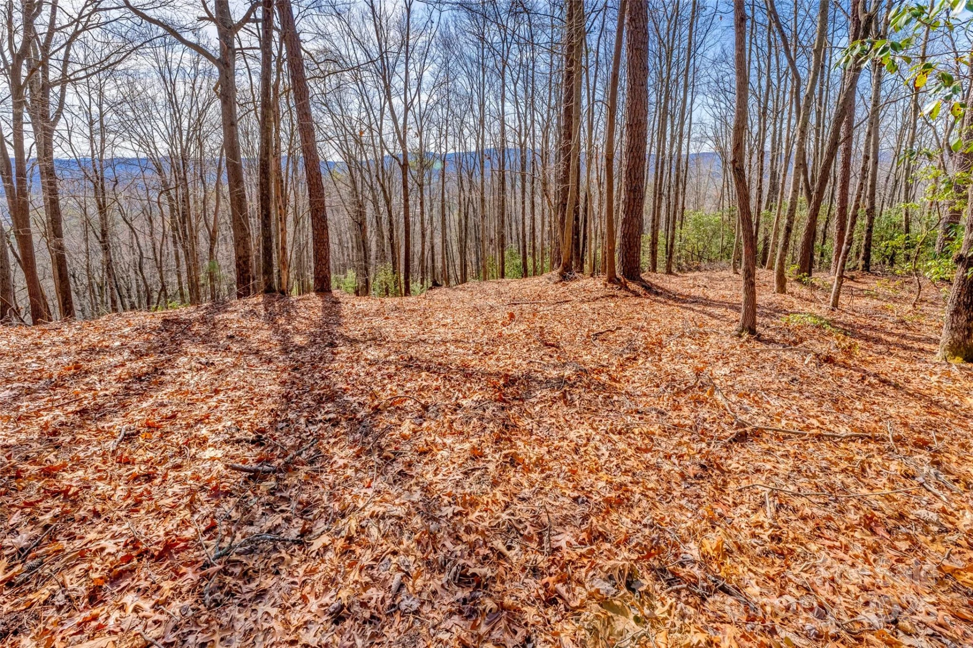 lot 3 Heavenly Hill Road #3 - Photo 2