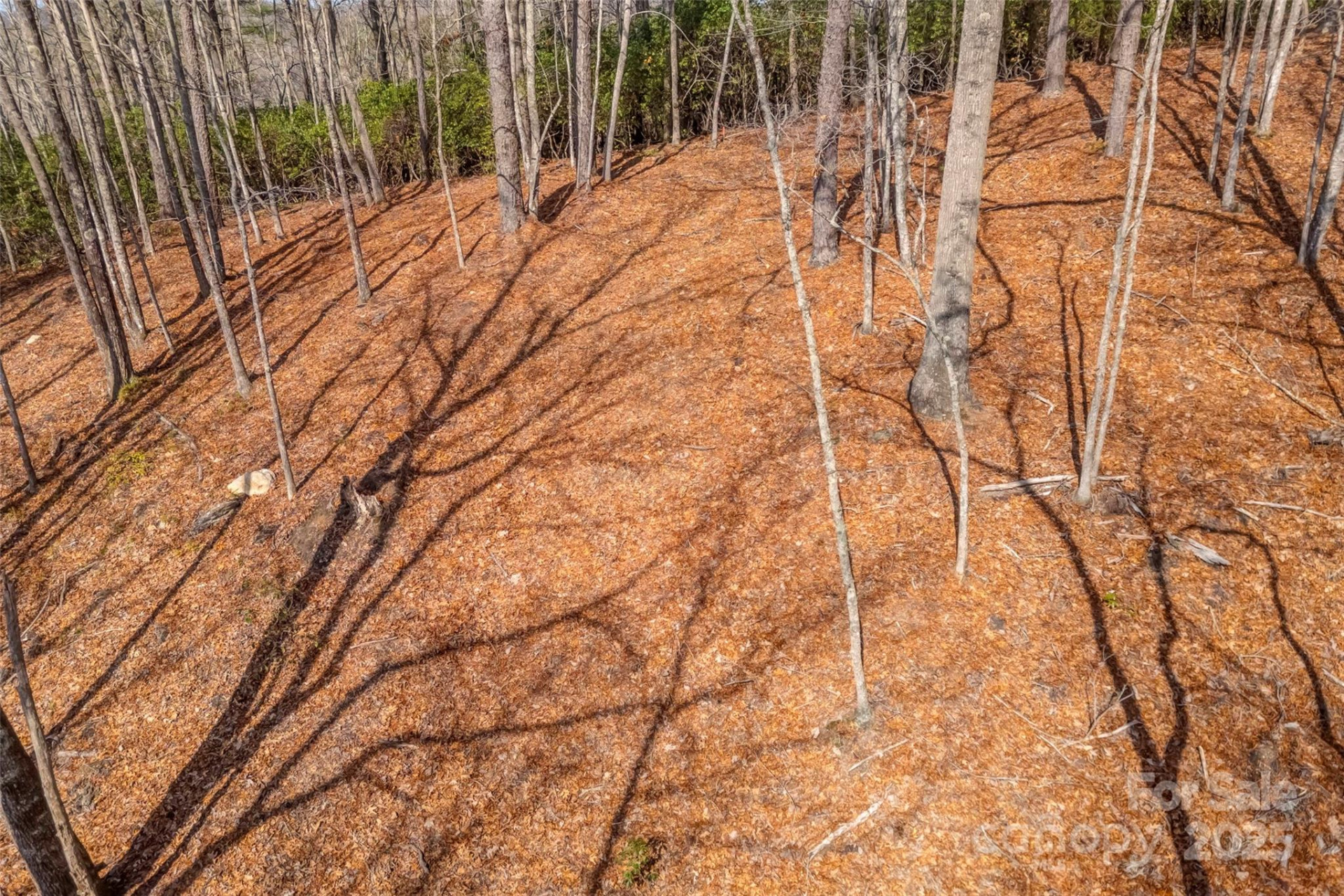 lot 3 Heavenly Hill Road #3 - Photo 12