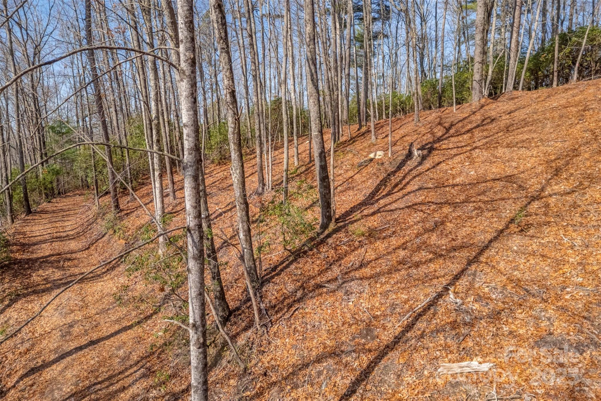 lot 3 Heavenly Hill Road #3 - Photo 13