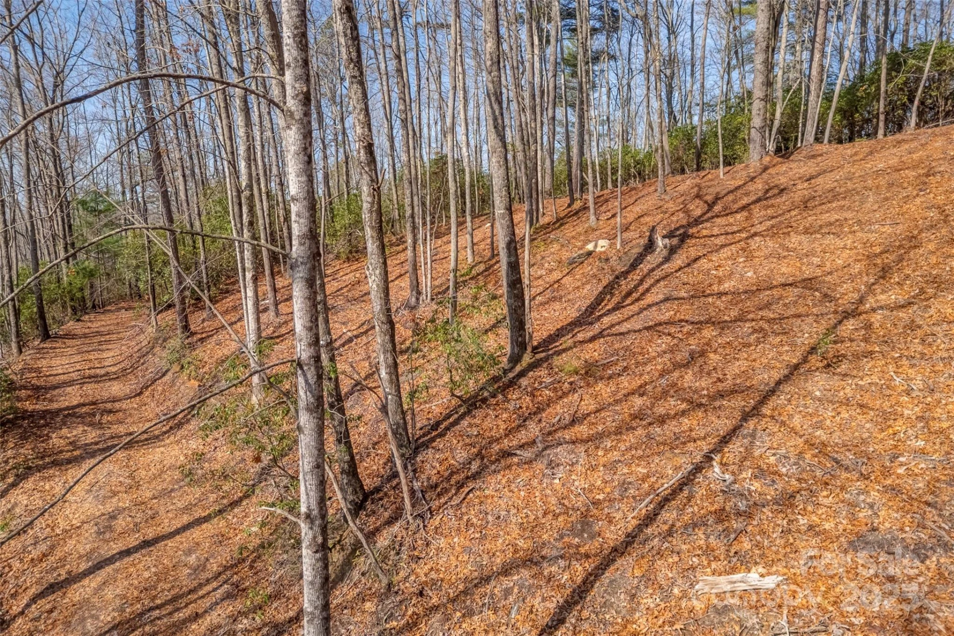 lot 3 Heavenly Hill Road #3 - Photo 13