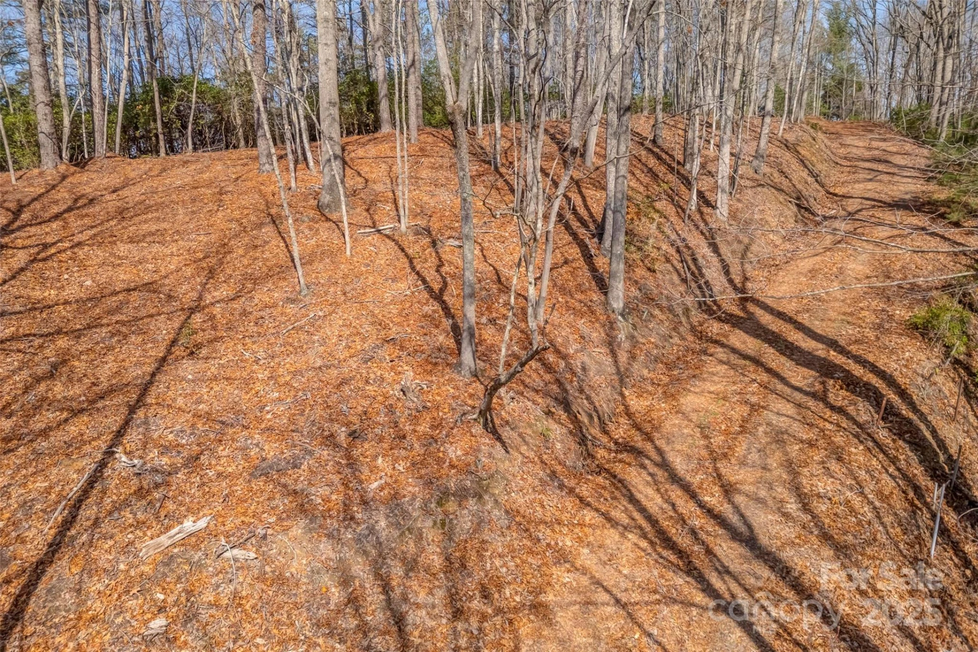 lot 3 Heavenly Hill Road #3 - Photo 14
