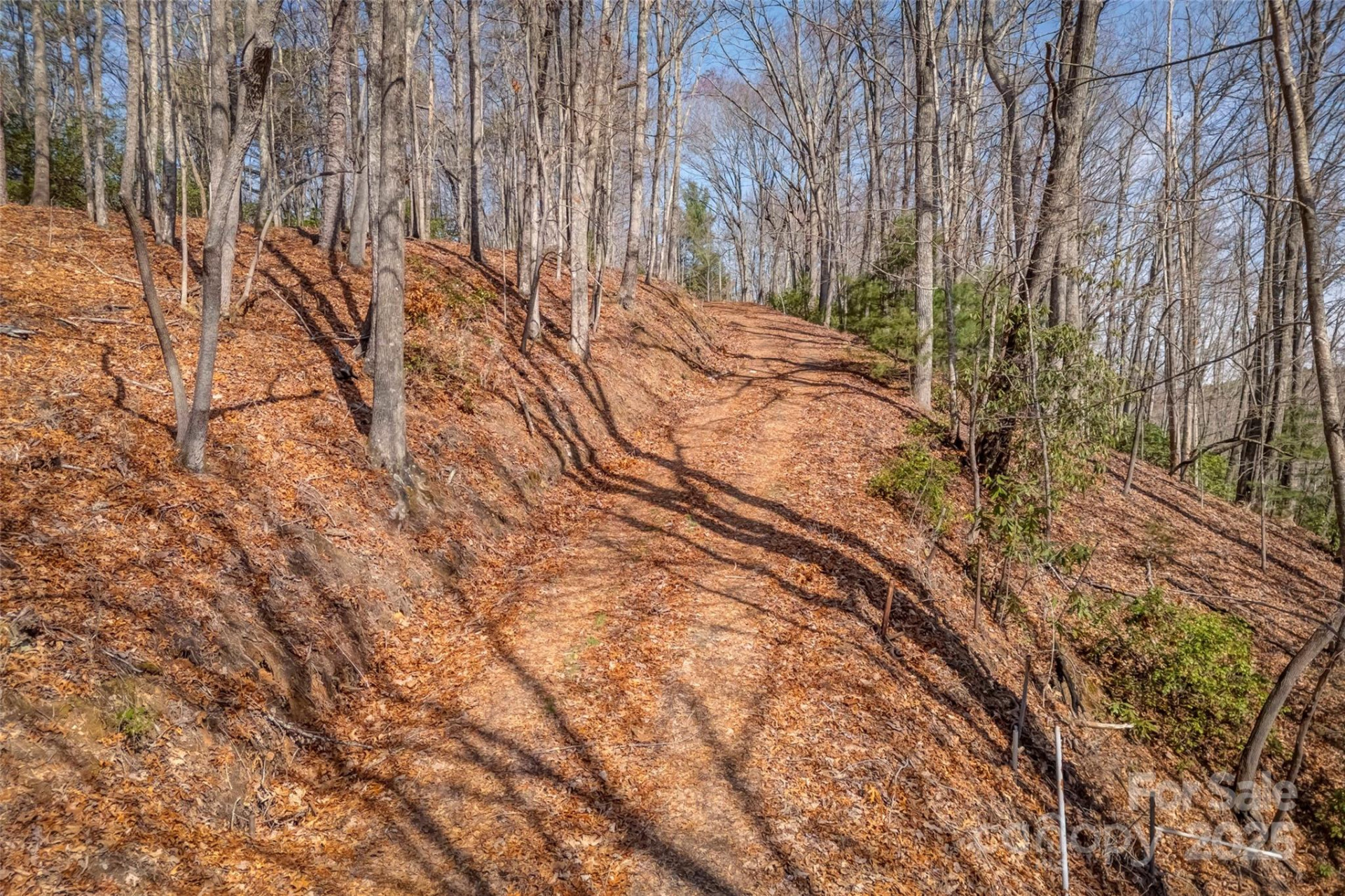lot 3 Heavenly Hill Road #3 - Photo 15
