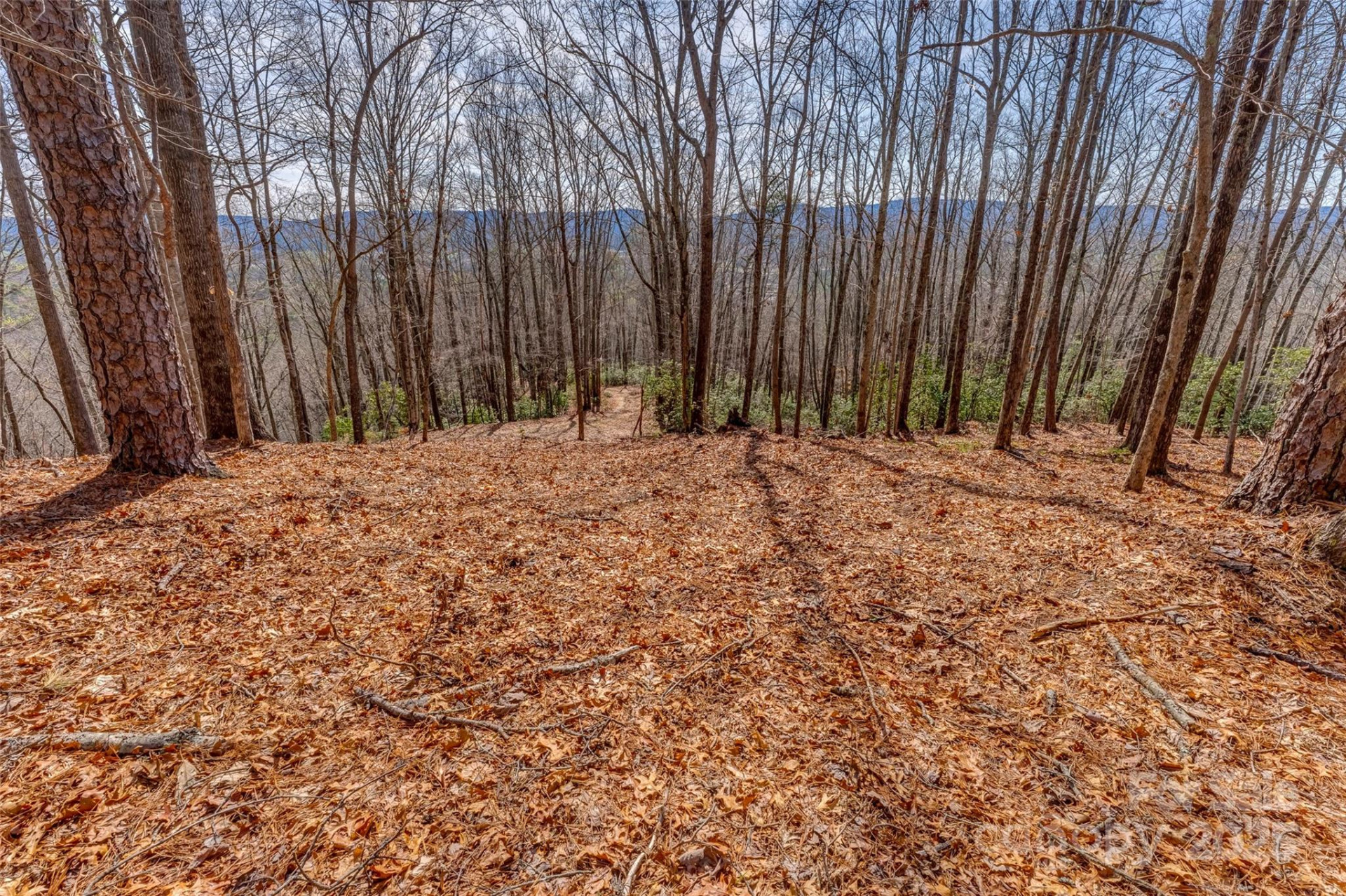 lot 3 Heavenly Hill Road #3 - Photo 3