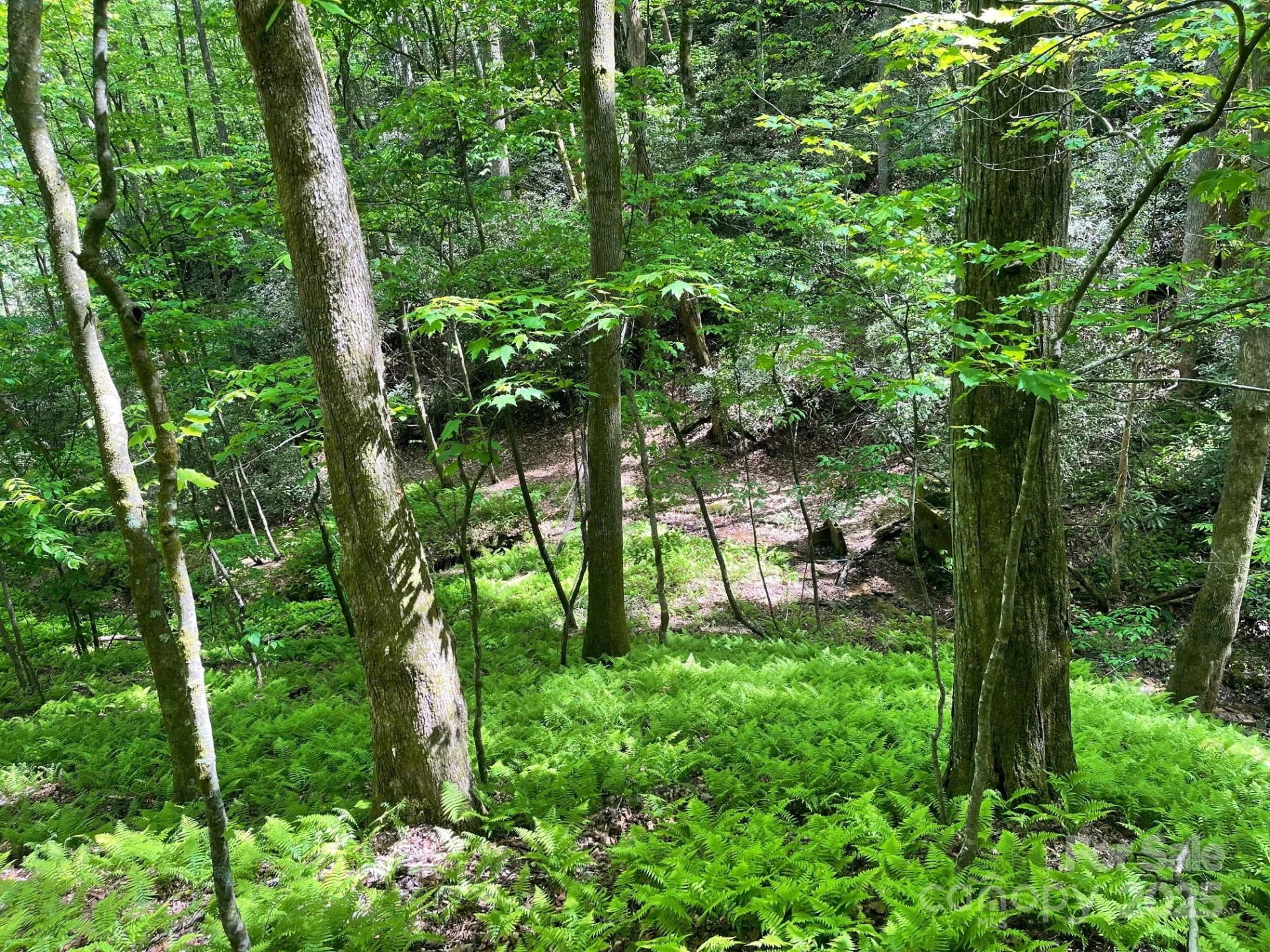 lot 3 Heavenly Hill Road #3 - Photo 21