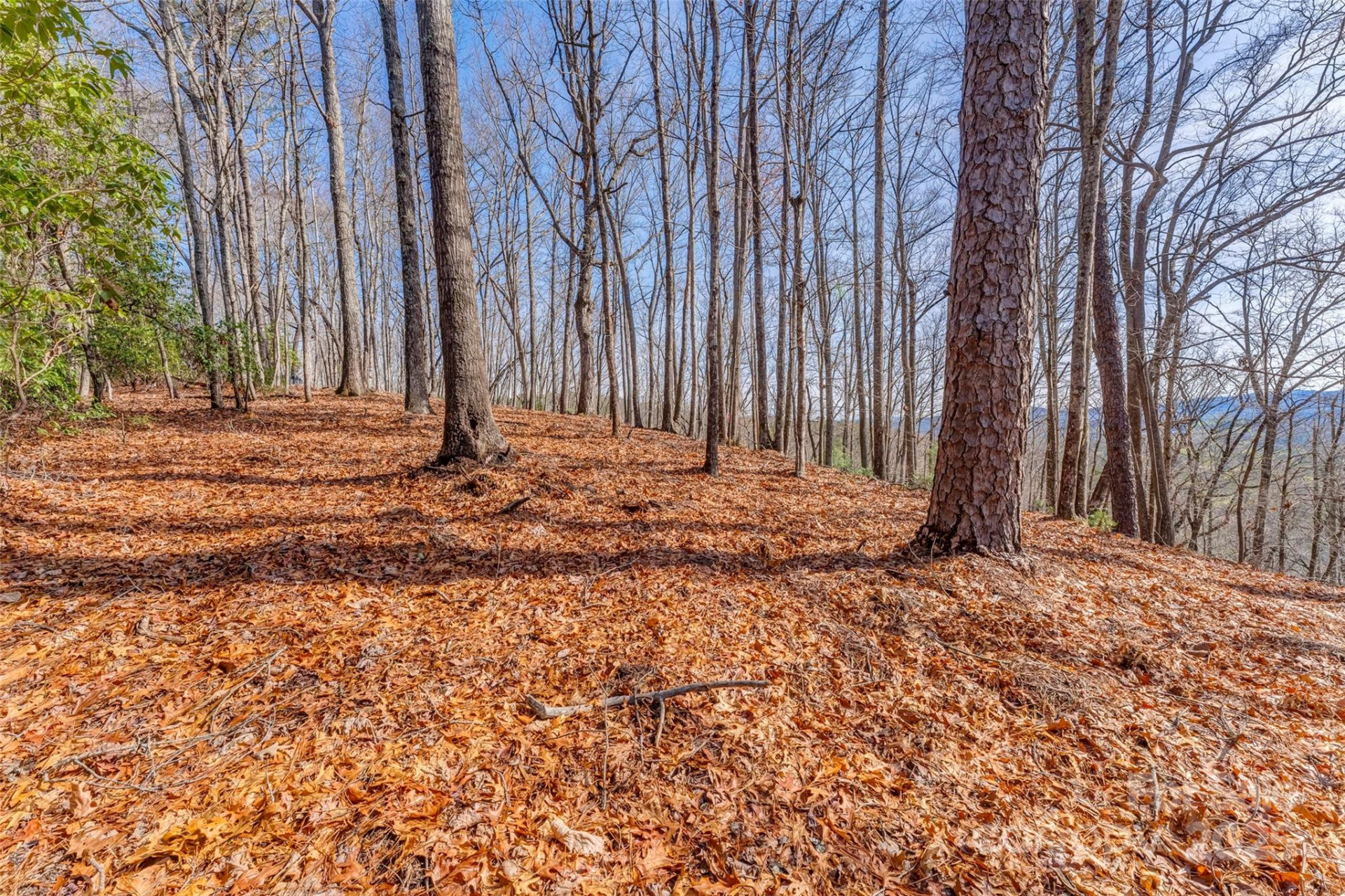 lot 3 Heavenly Hill Road #3 - Photo 4
