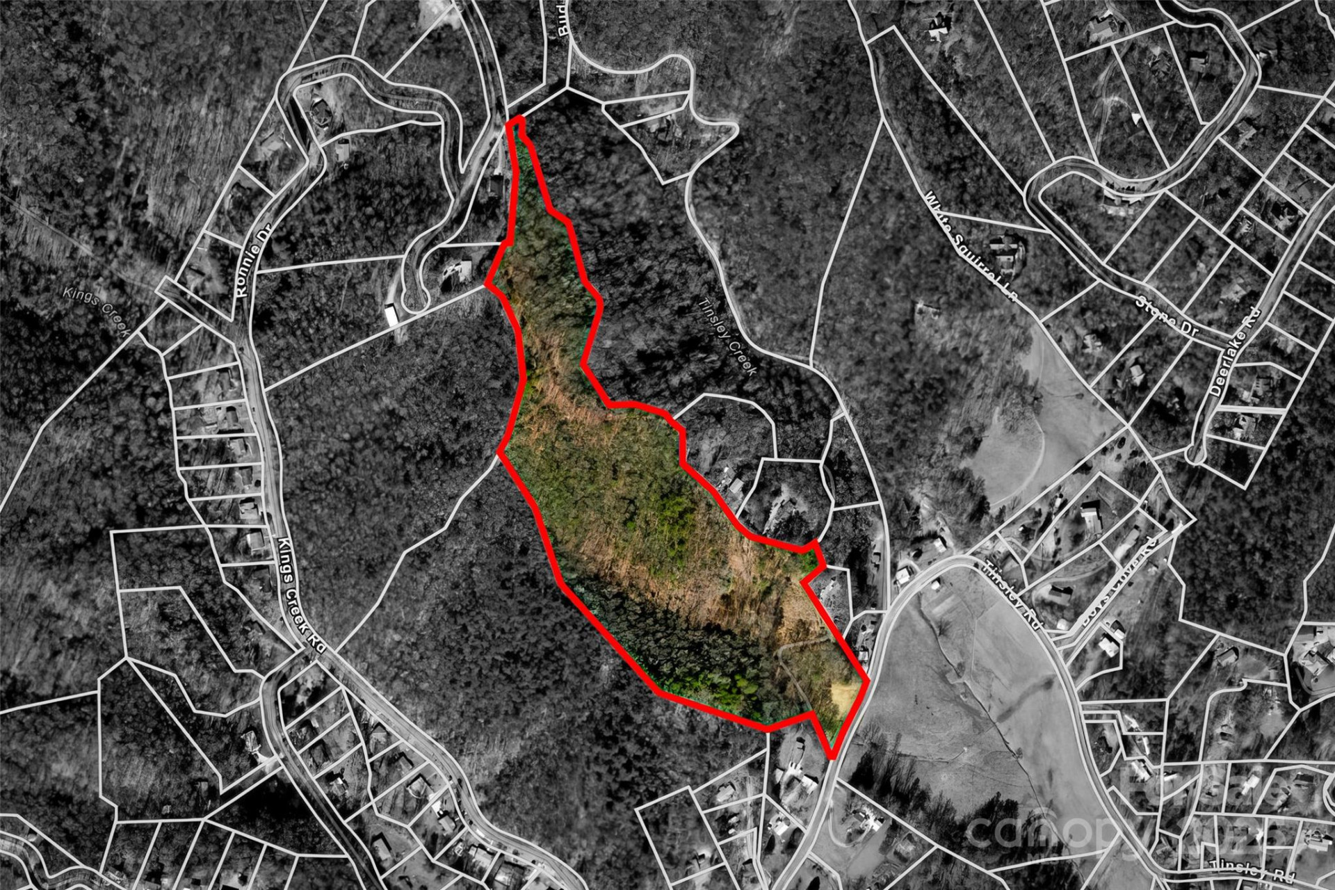 lot 3 Heavenly Hill Road #3 - Photo 5