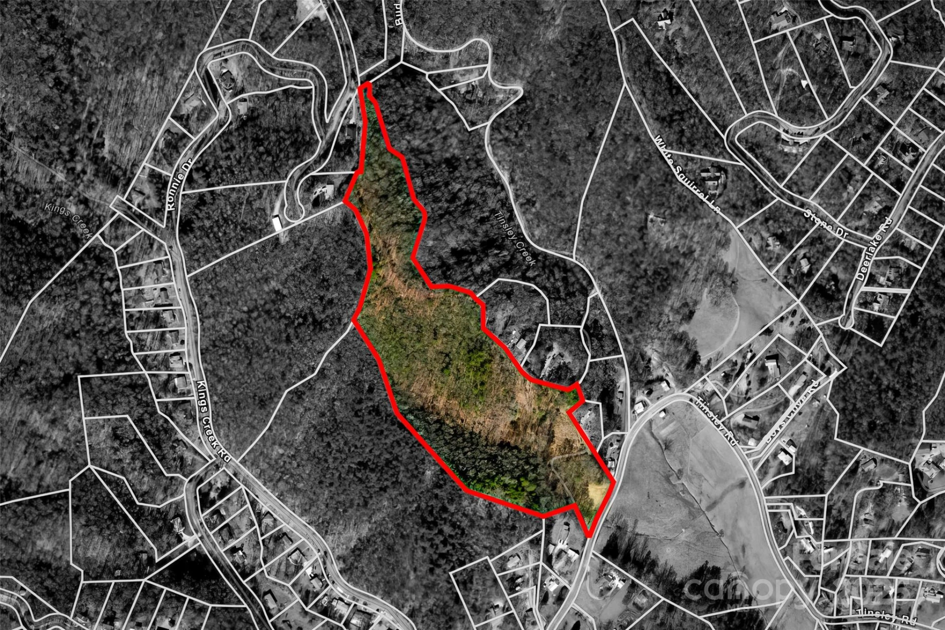 lot 3 Heavenly Hill Road #3 - Photo 5