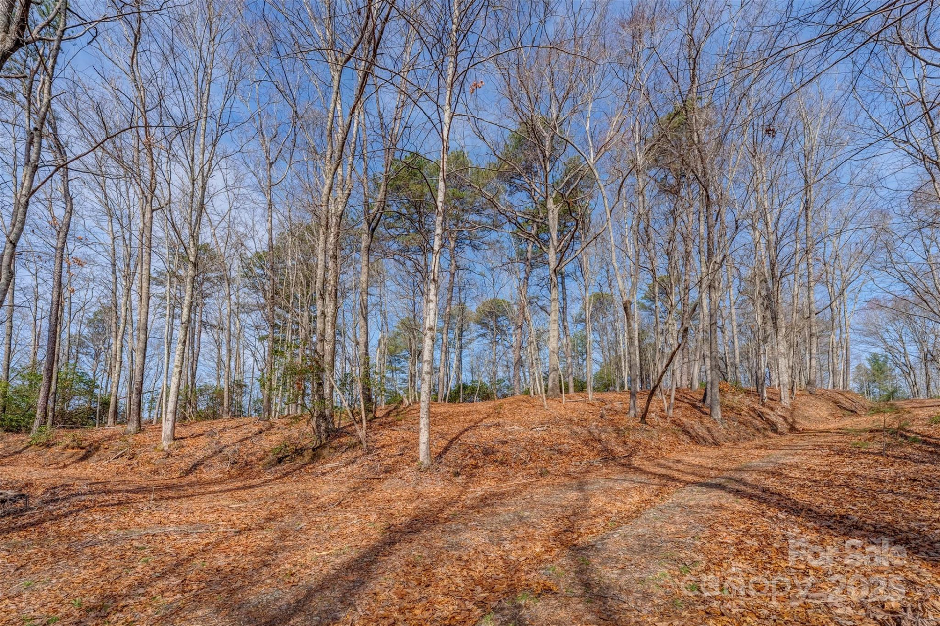 lot 3 Heavenly Hill Road #3 - Photo 6