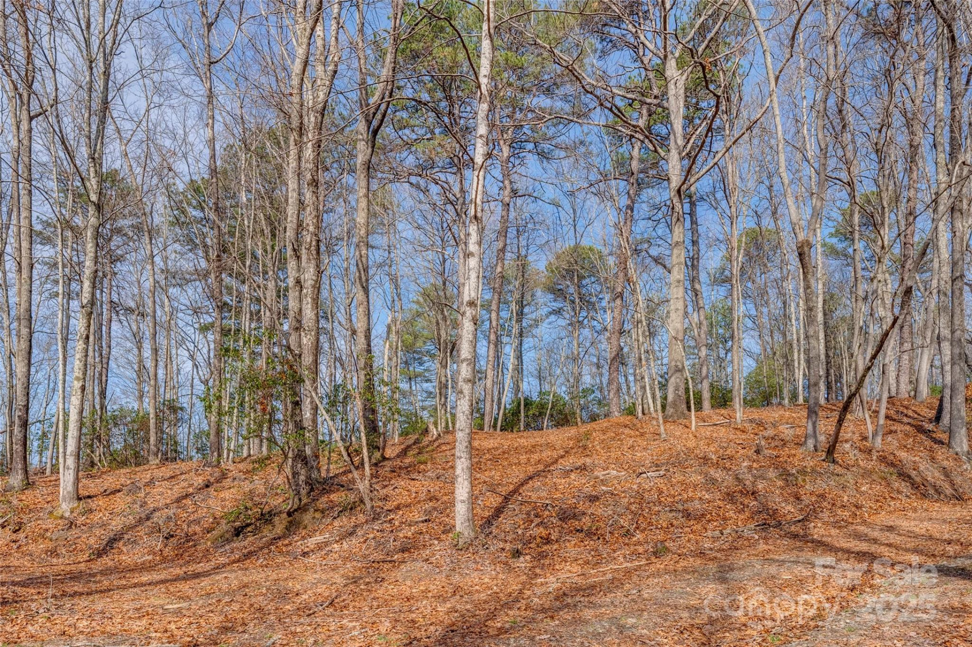 lot 3 Heavenly Hill Road #3 - Photo 7