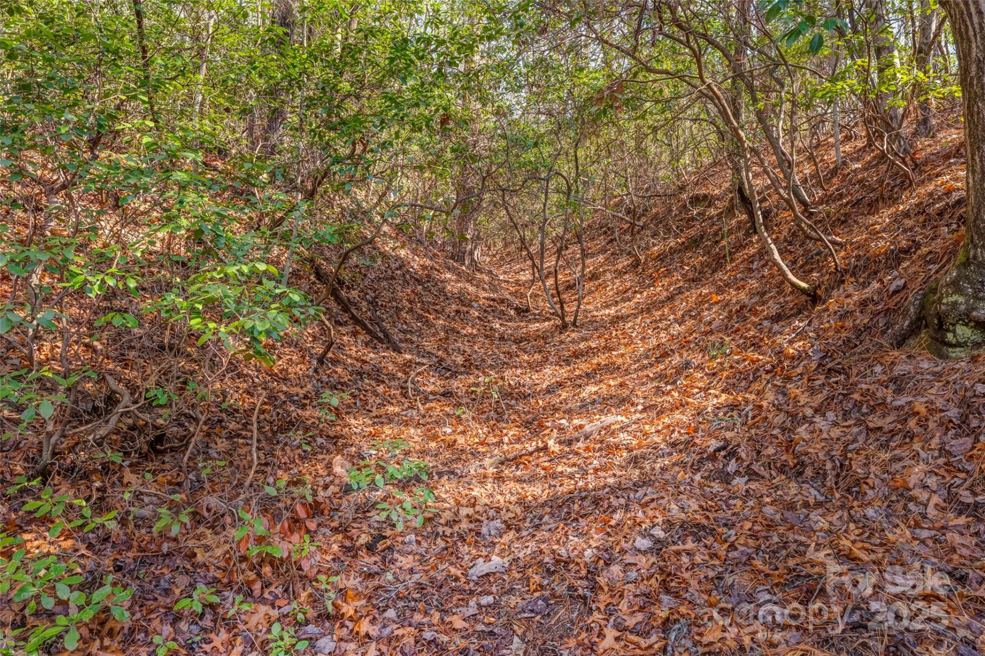 lot 3 Heavenly Hill Road #3 - Photo 8