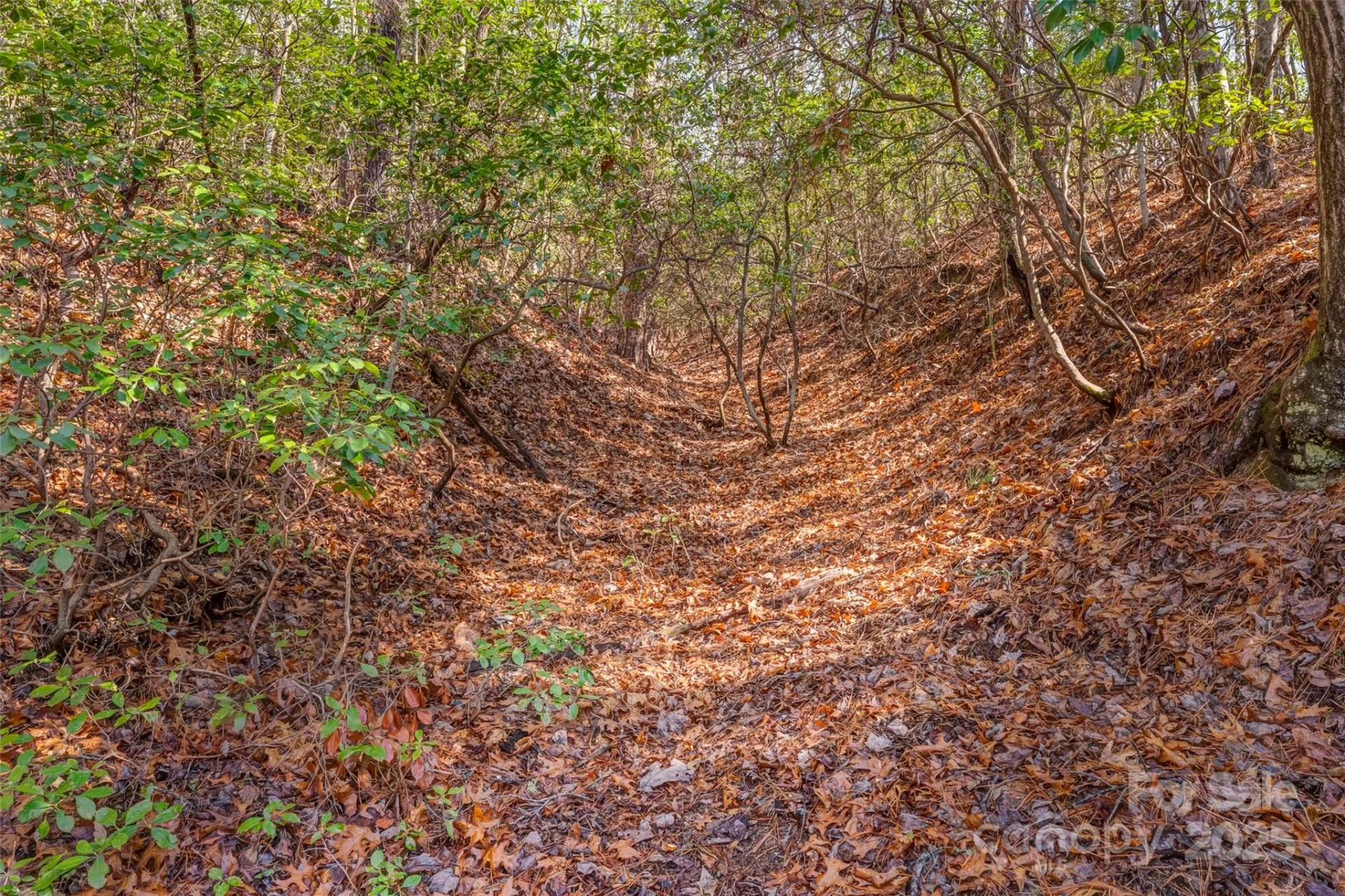 lot 3 Heavenly Hill Road #3 - Photo 8