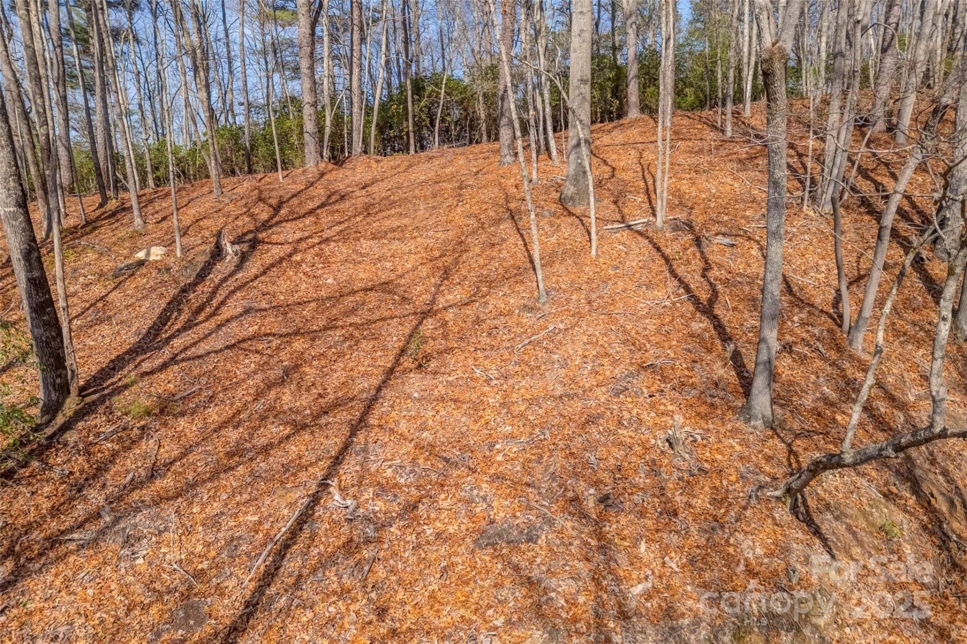 lot 3 Heavenly Hill Road #3 - Photo 9