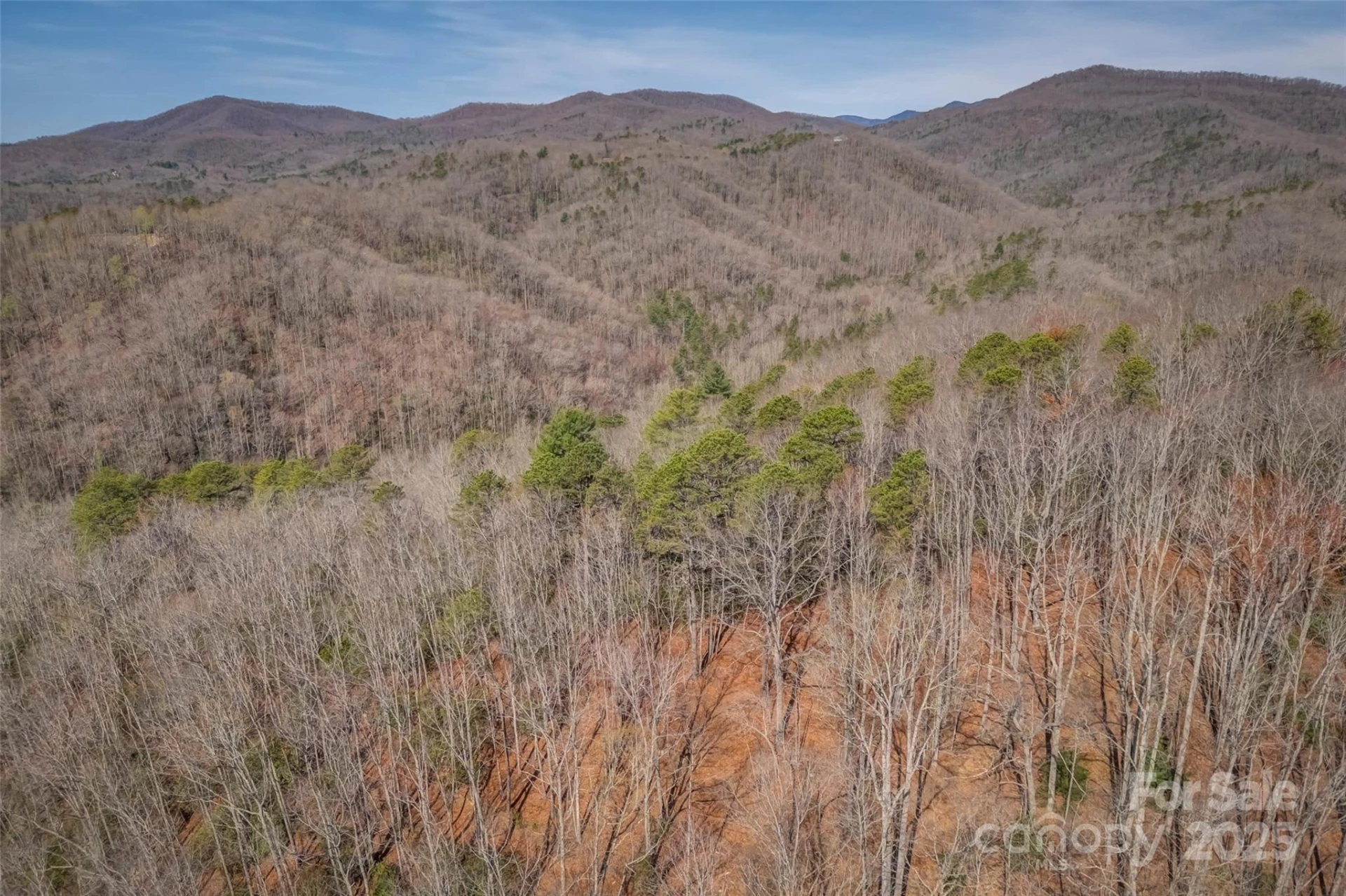 lot 3 Heavenly Hill Road #3 - Photo 10
