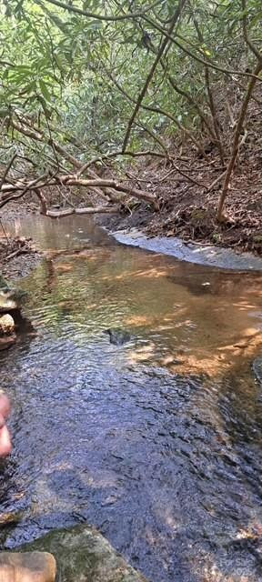 4027 Skyline Drive - Photo 2