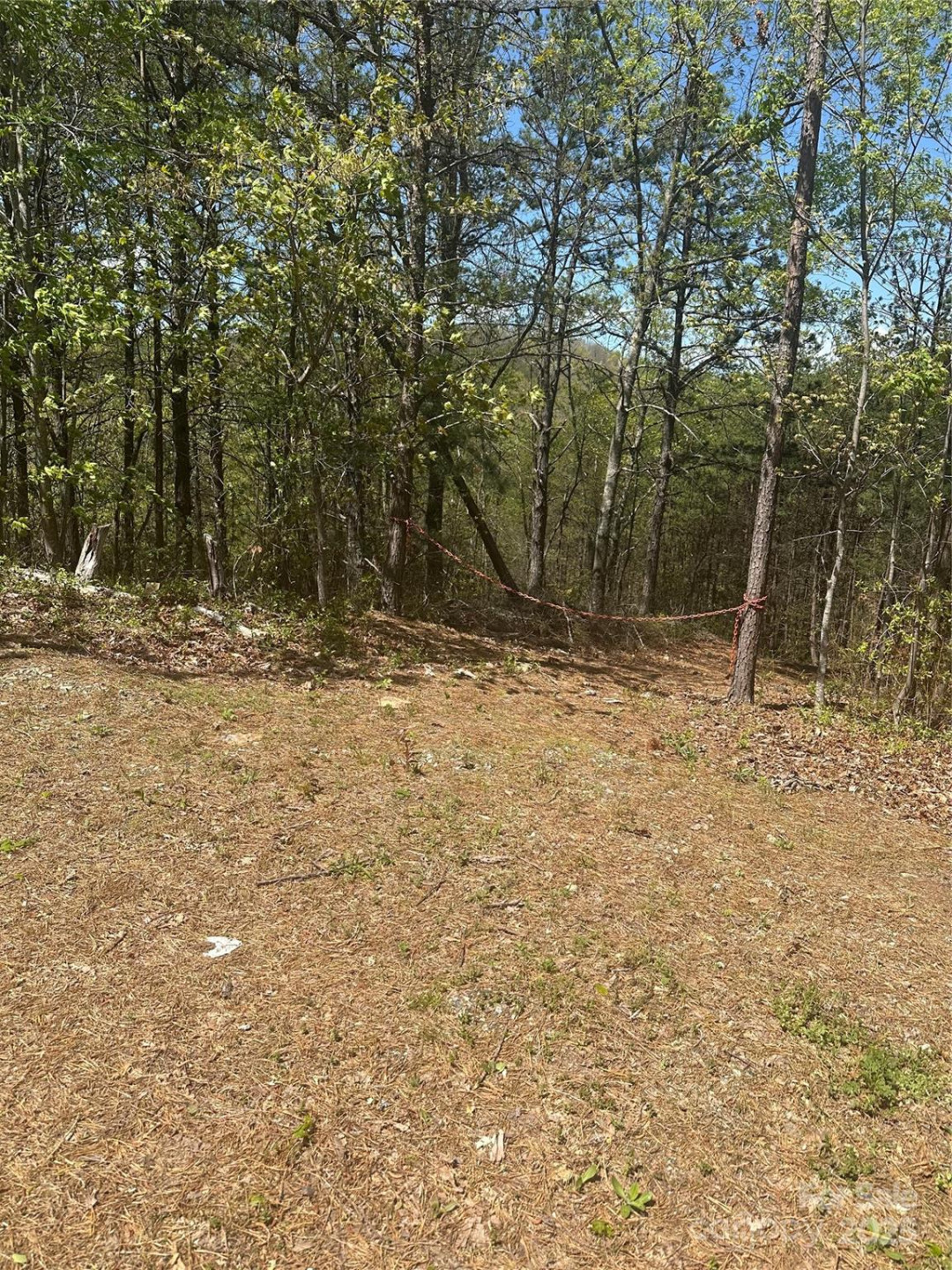 4027 Skyline Drive - Photo 3