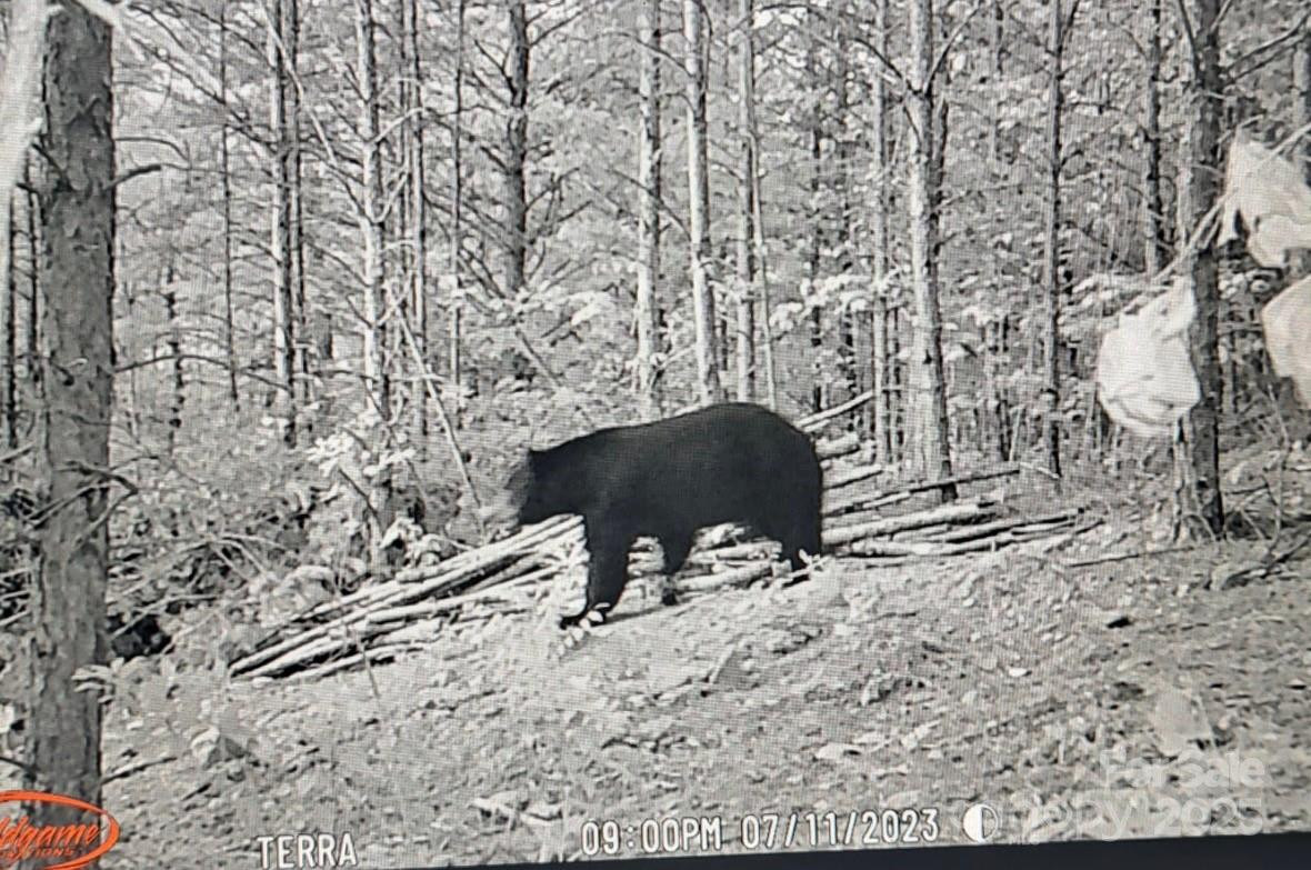 4027 Skyline Drive - Photo 4