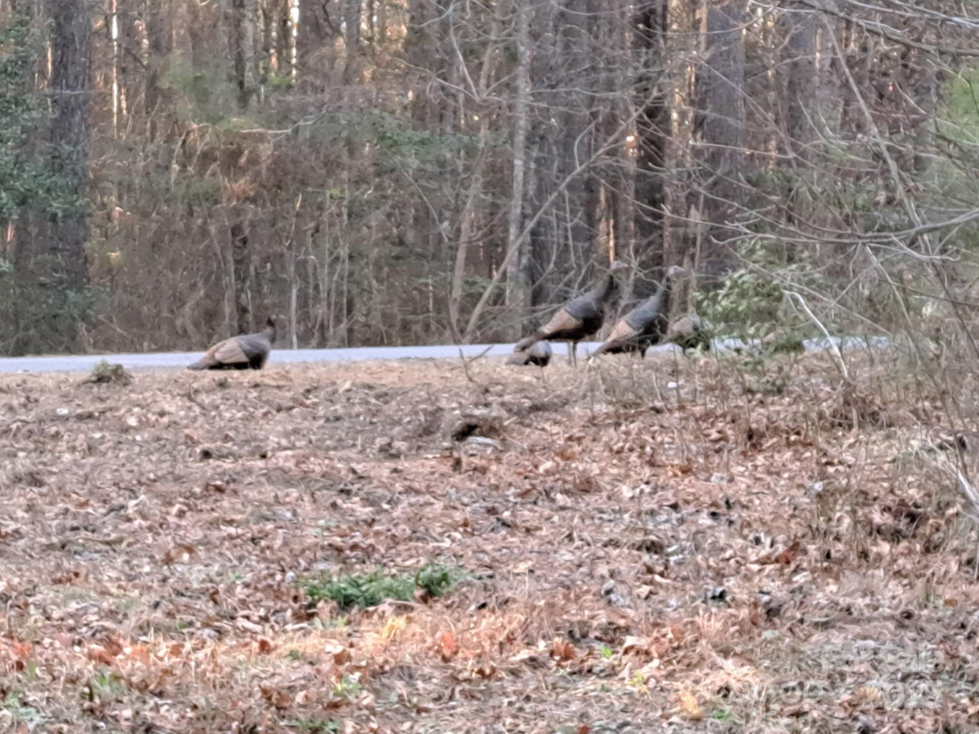 4027 Skyline Drive - Photo 5