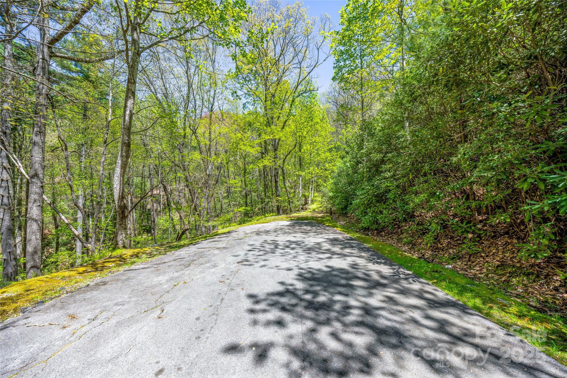 Lot 3A Mountain View Road - Photo 5