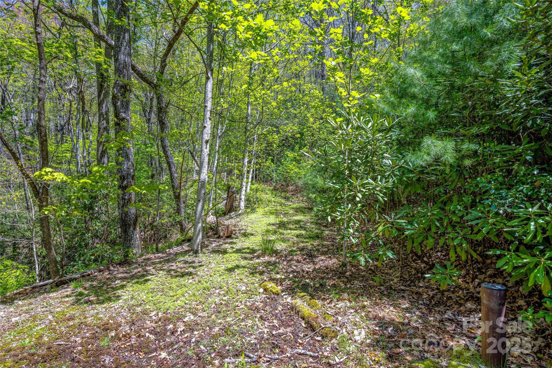 Lot 3A Mountain View Road - Photo 8