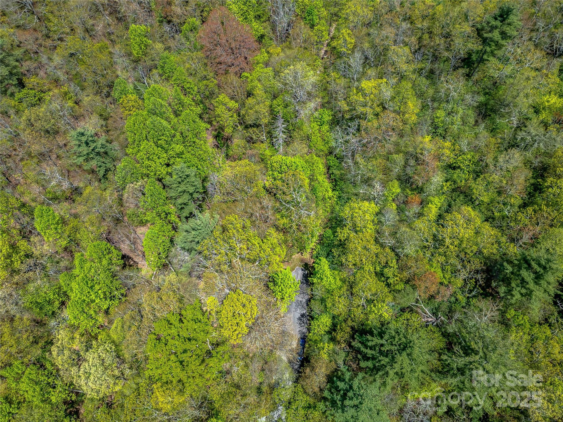 Lot 3A Mountain View Road - Photo 9