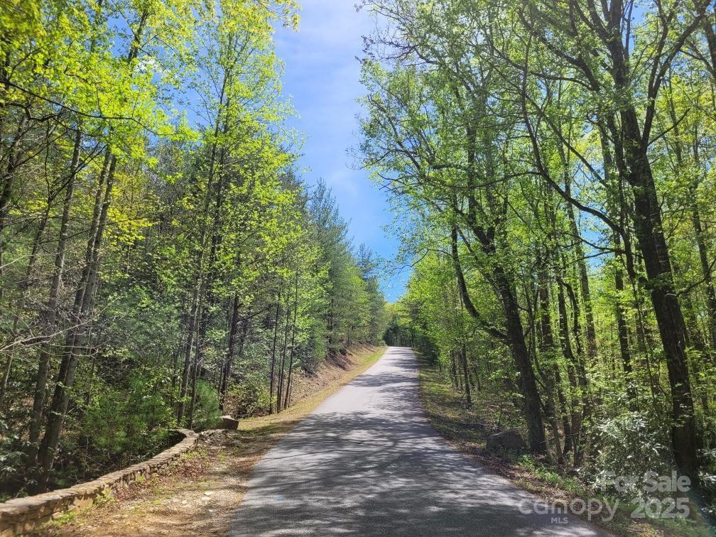 Lot 21 Little Fox Run - Photo 12