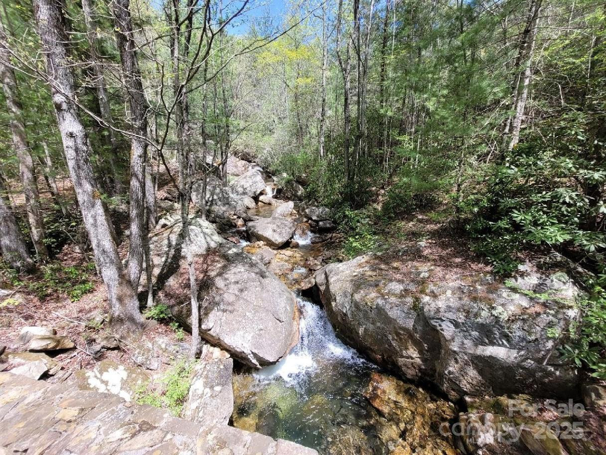 Lot 21 Little Fox Run - Photo 13