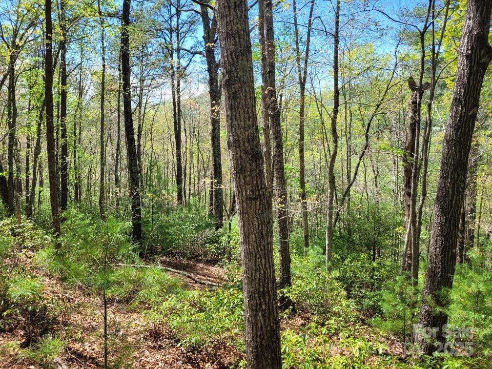 Lot 21 Little Fox Run - Photo 4