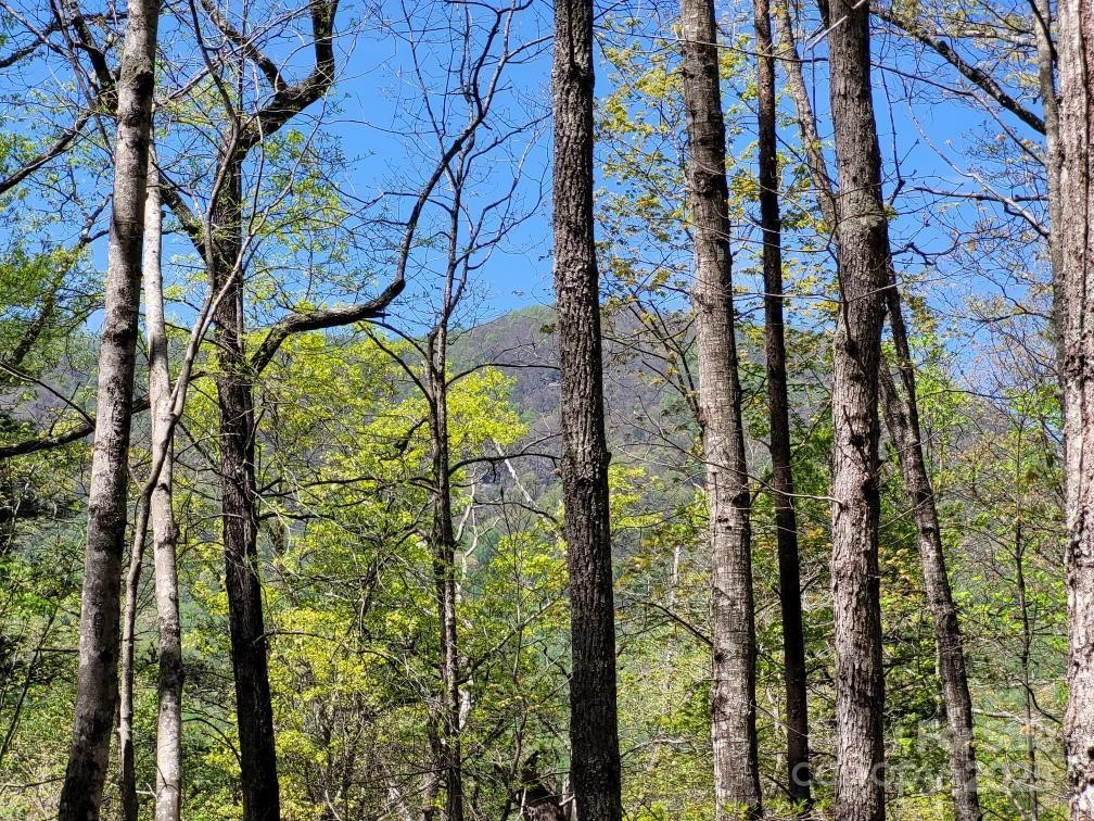 Lot 21 Little Fox Run - Photo 5