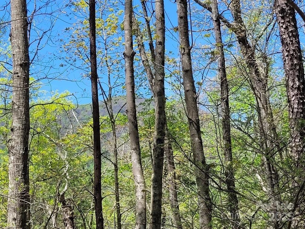 Lot 21 Little Fox Run - Photo 6