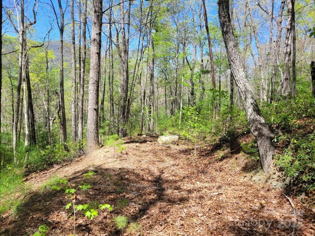 Lot 21 Little Fox Run - Photo 7