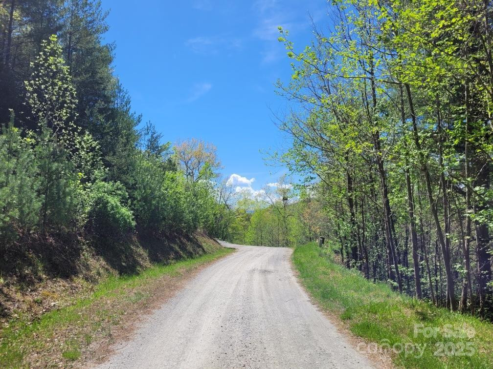 Lot 21 Little Fox Run - Photo 9