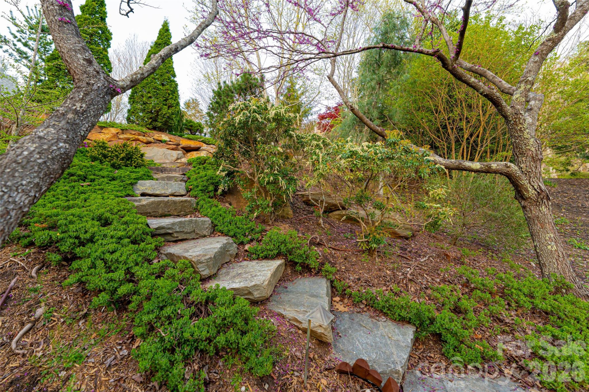 256 Senator Reynolds Road - Photo 40