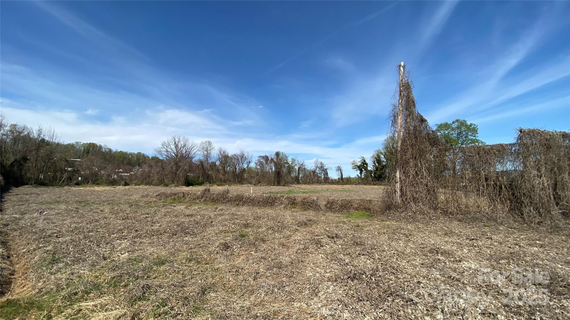 TBD Kathleen Street - Photo 12