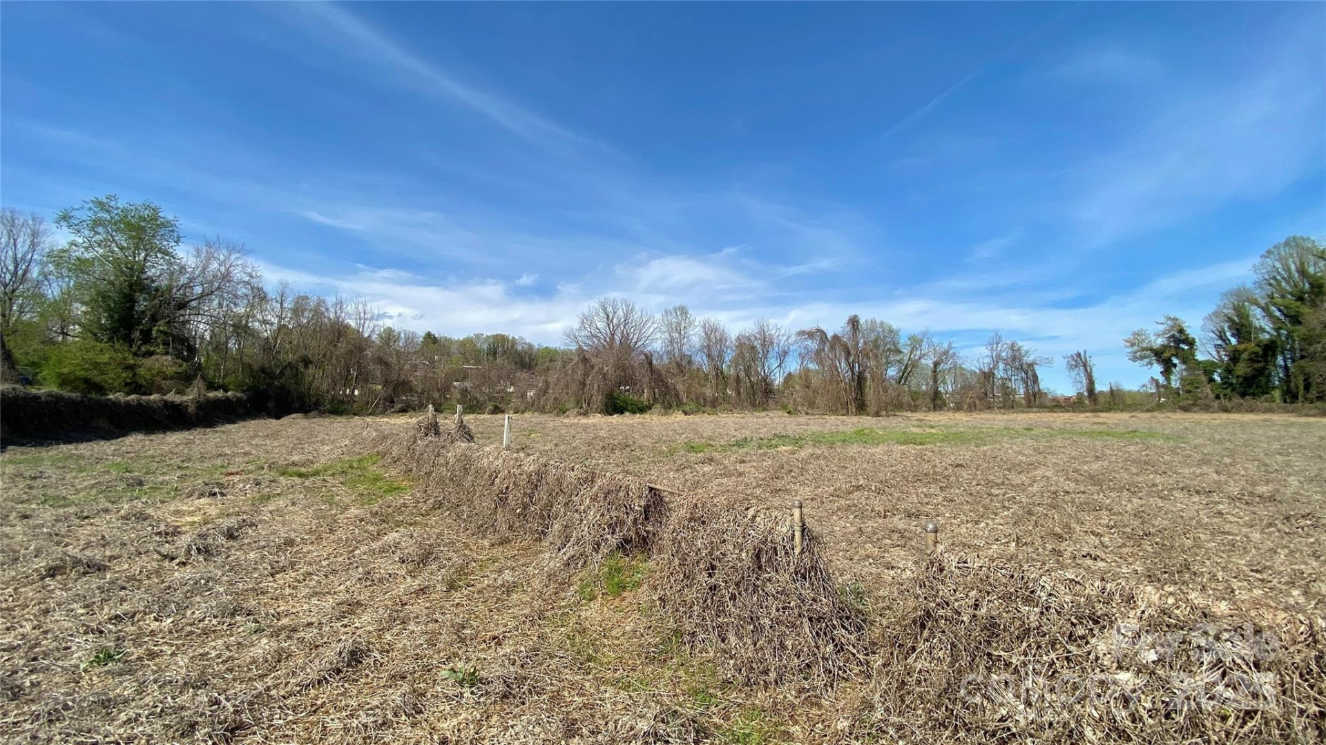 TBD Kathleen Street - Photo 6