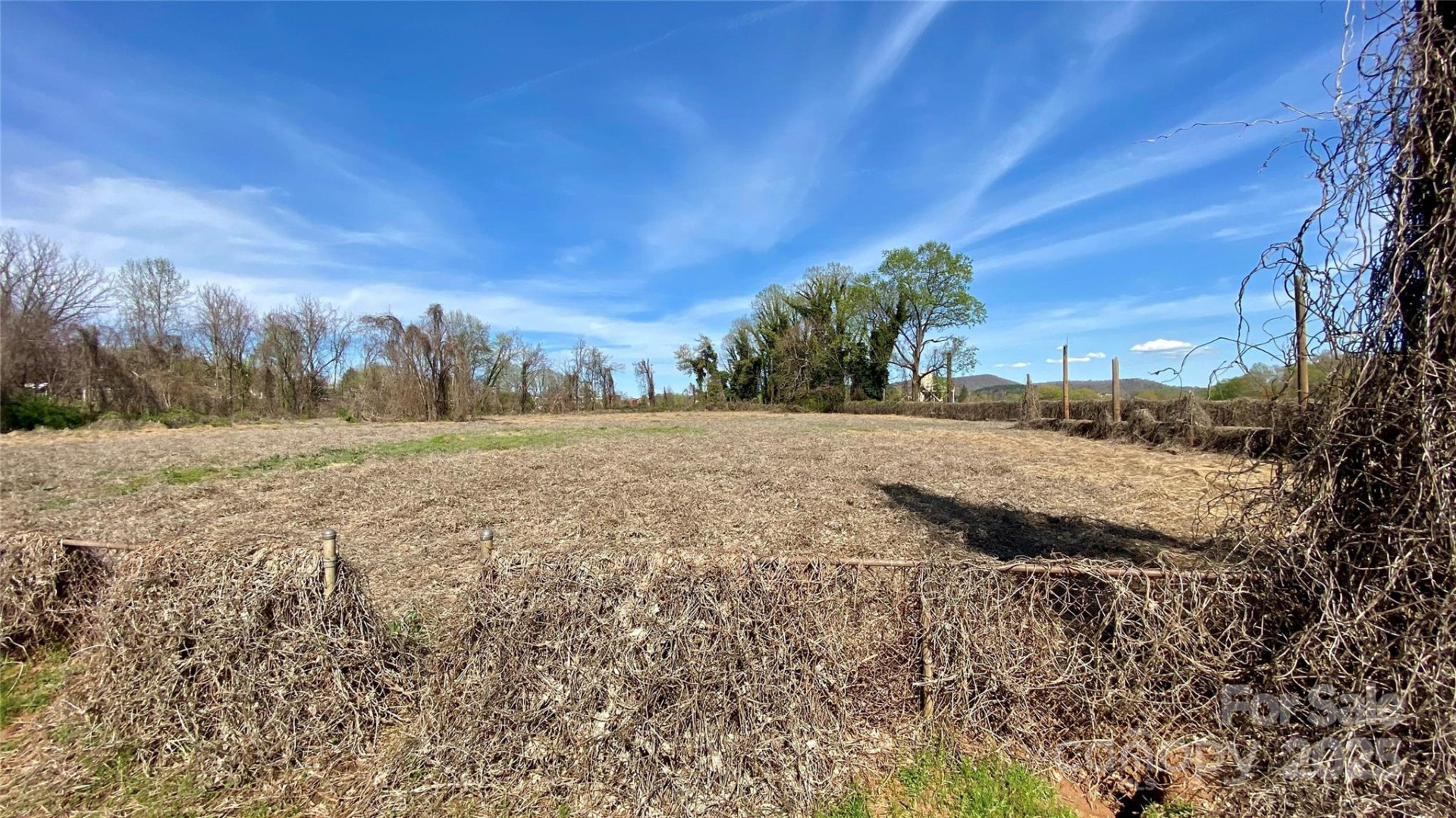 TBD Kathleen Street - Photo 7