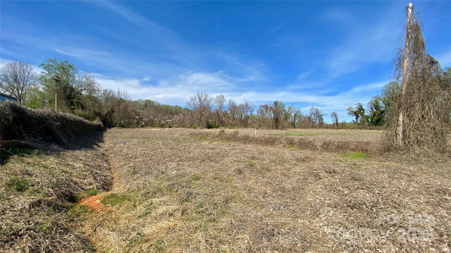 TBD Kathleen Street - Photo 8