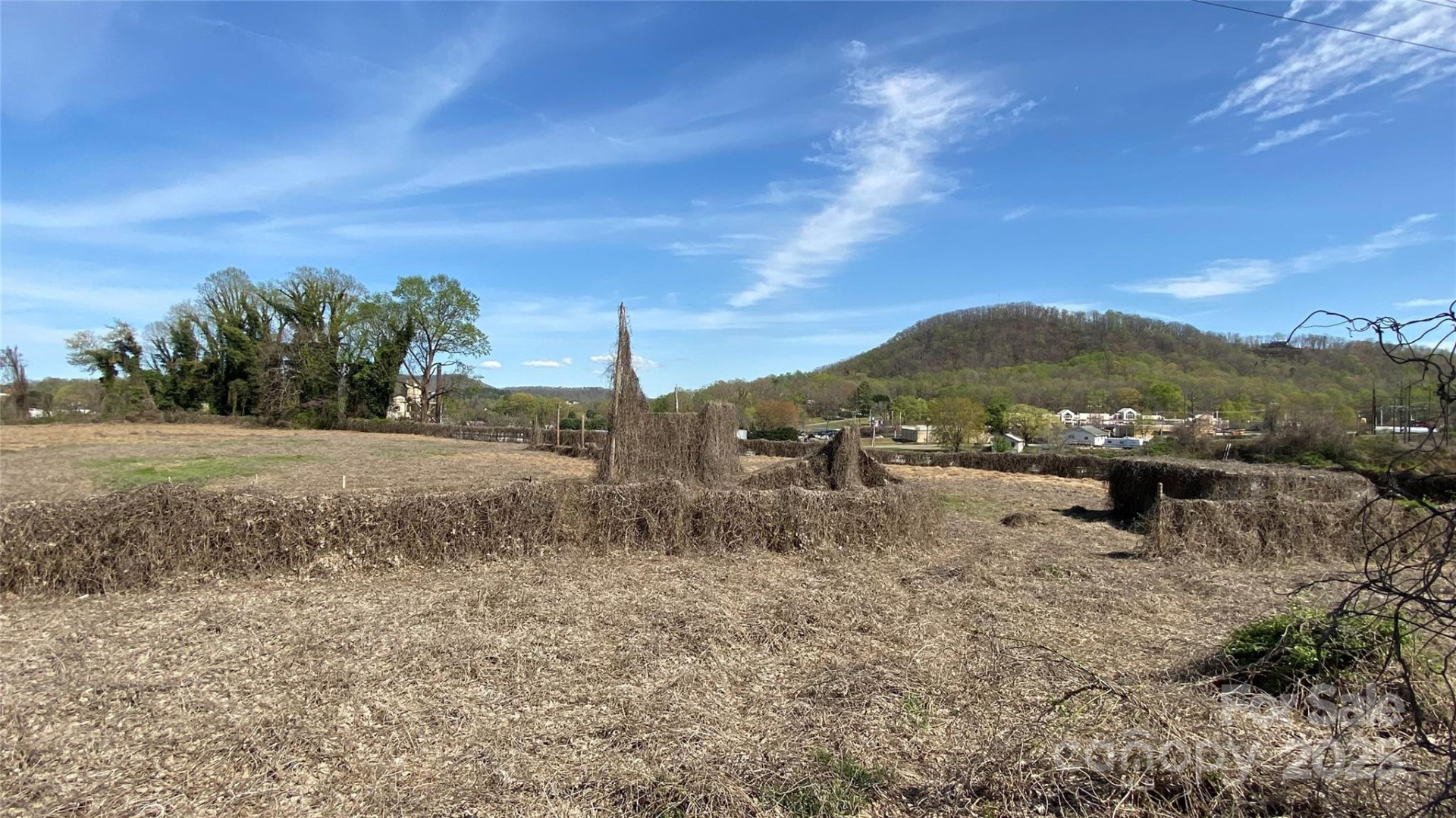 TBD Kathleen Street - Photo 10