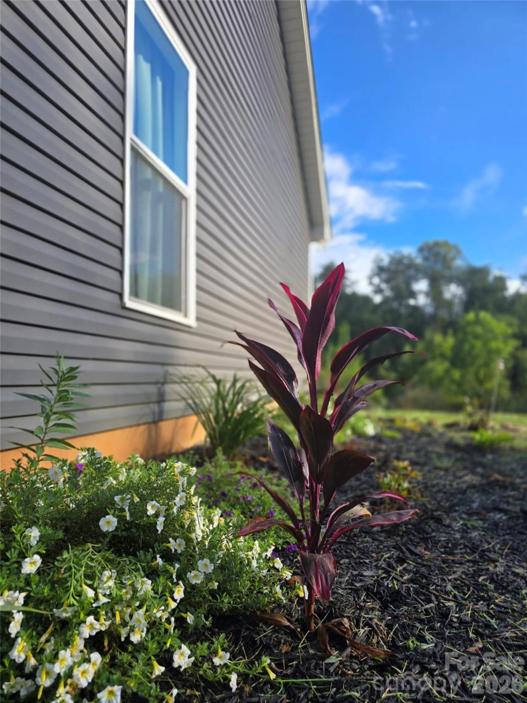 19 Higgins Road - Photo 3