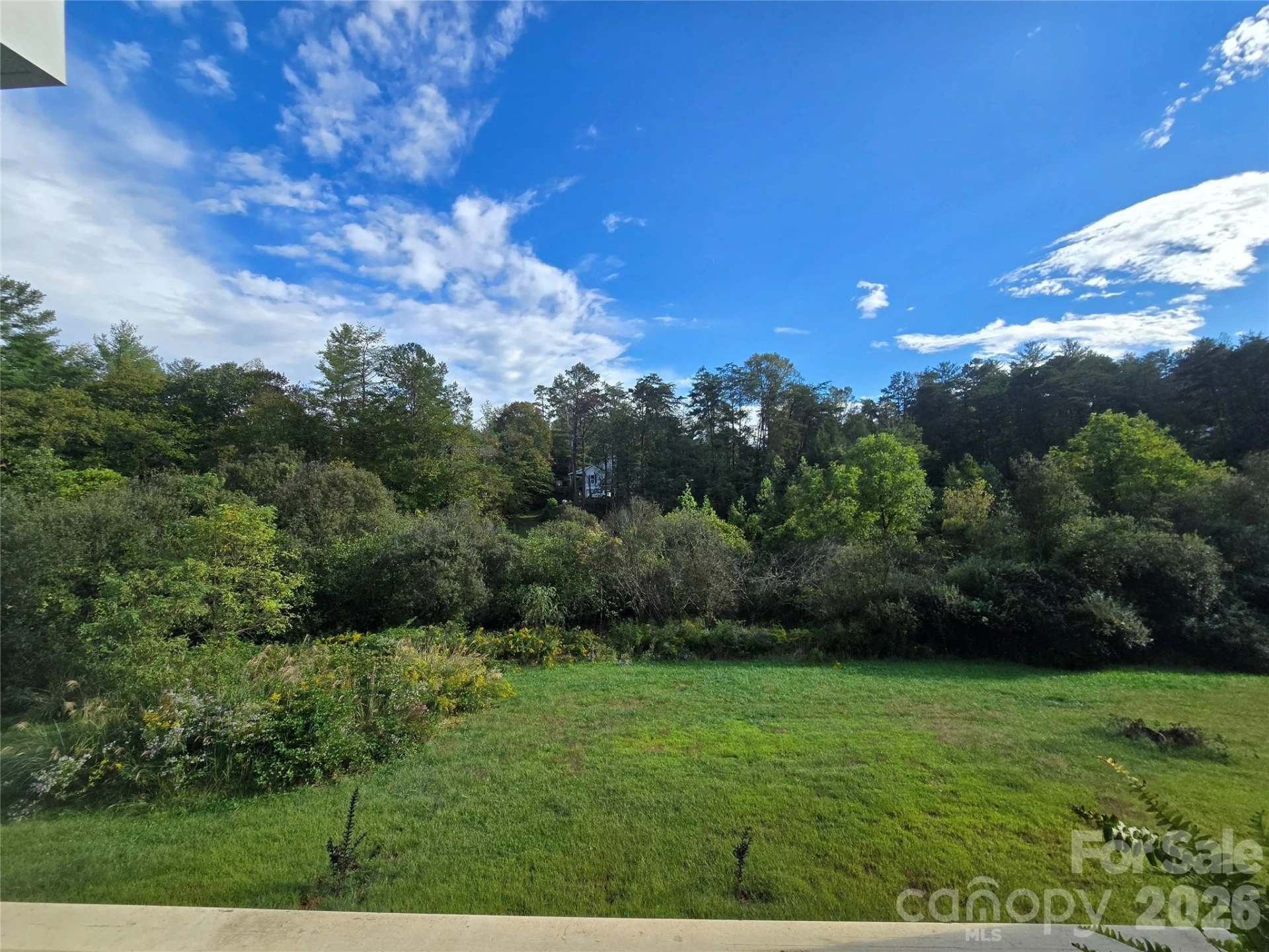 19 Higgins Road - Photo 17