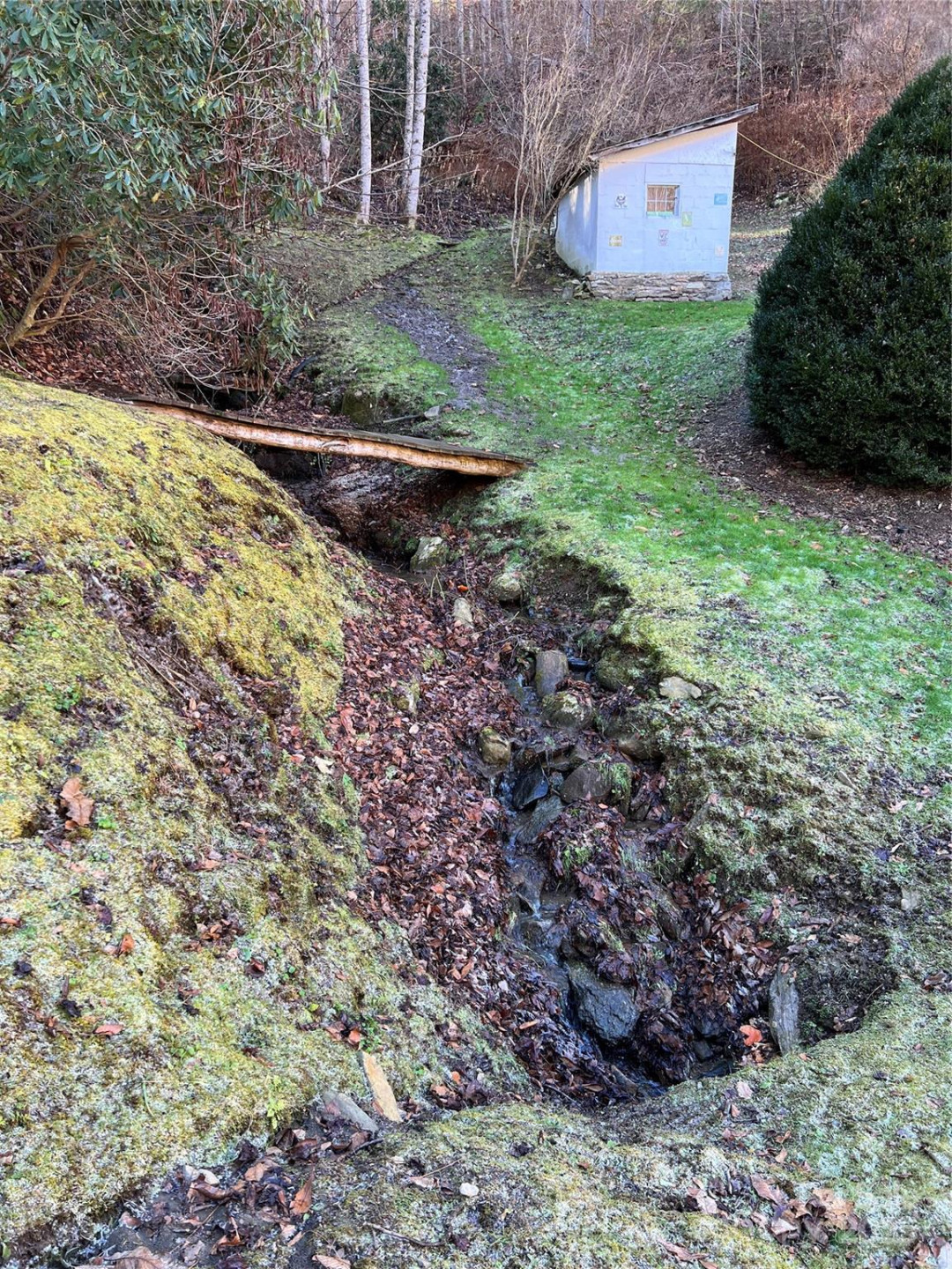 12982 US 19W Highway - Photo 11