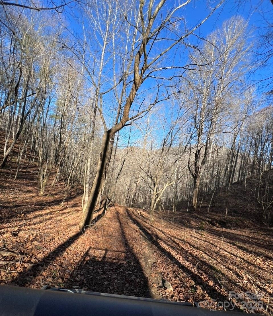 12982 US 19W Highway - Photo 3