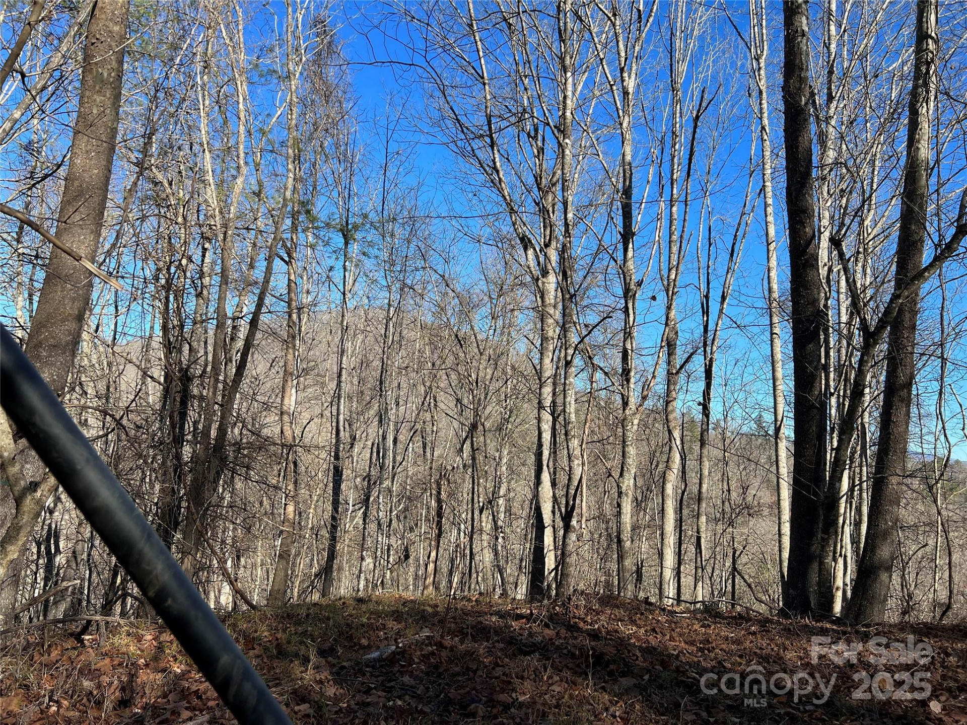 12982 US 19W Highway - Photo 10