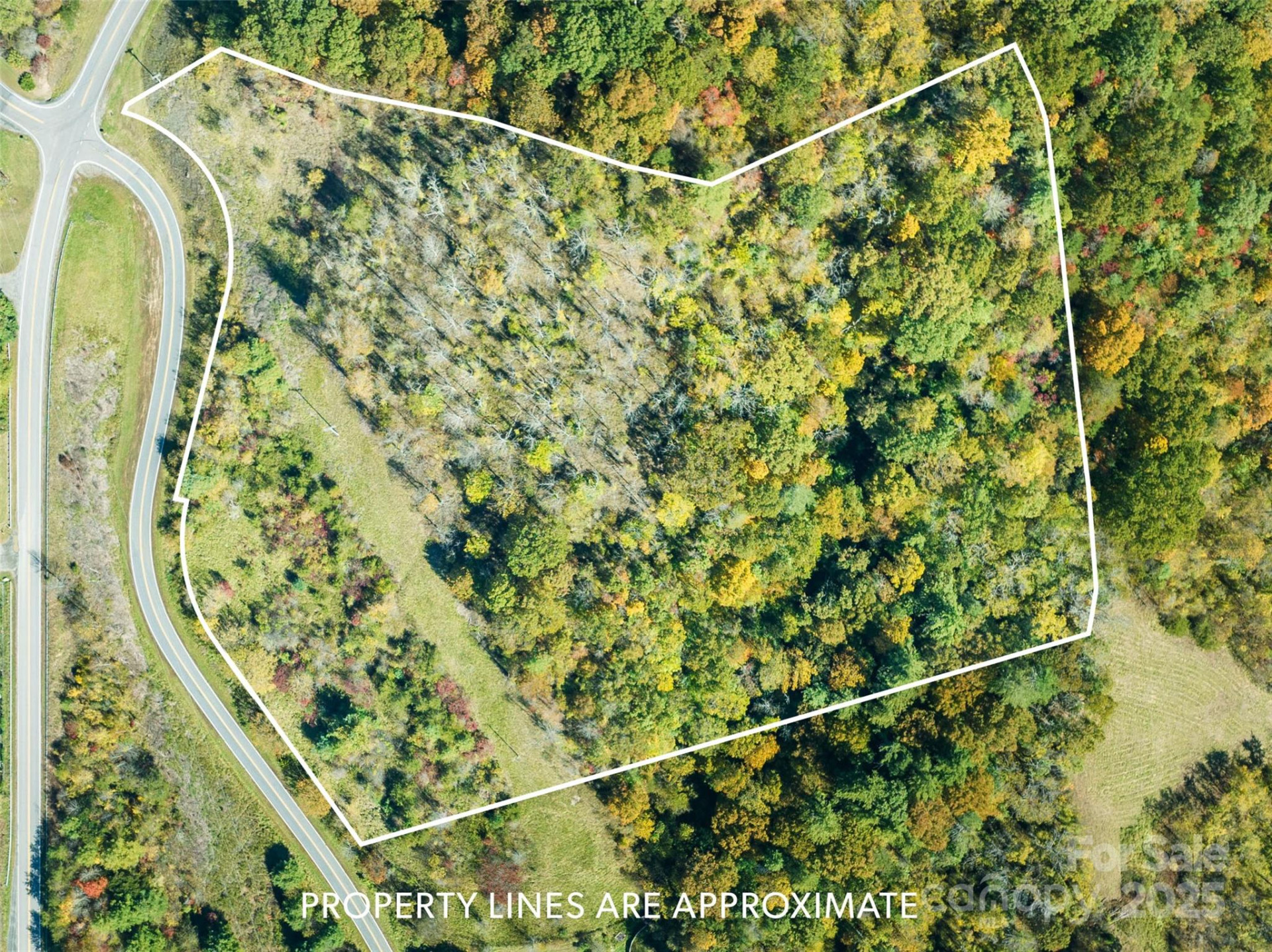 TBD Sweetwater Road - Photo 2
