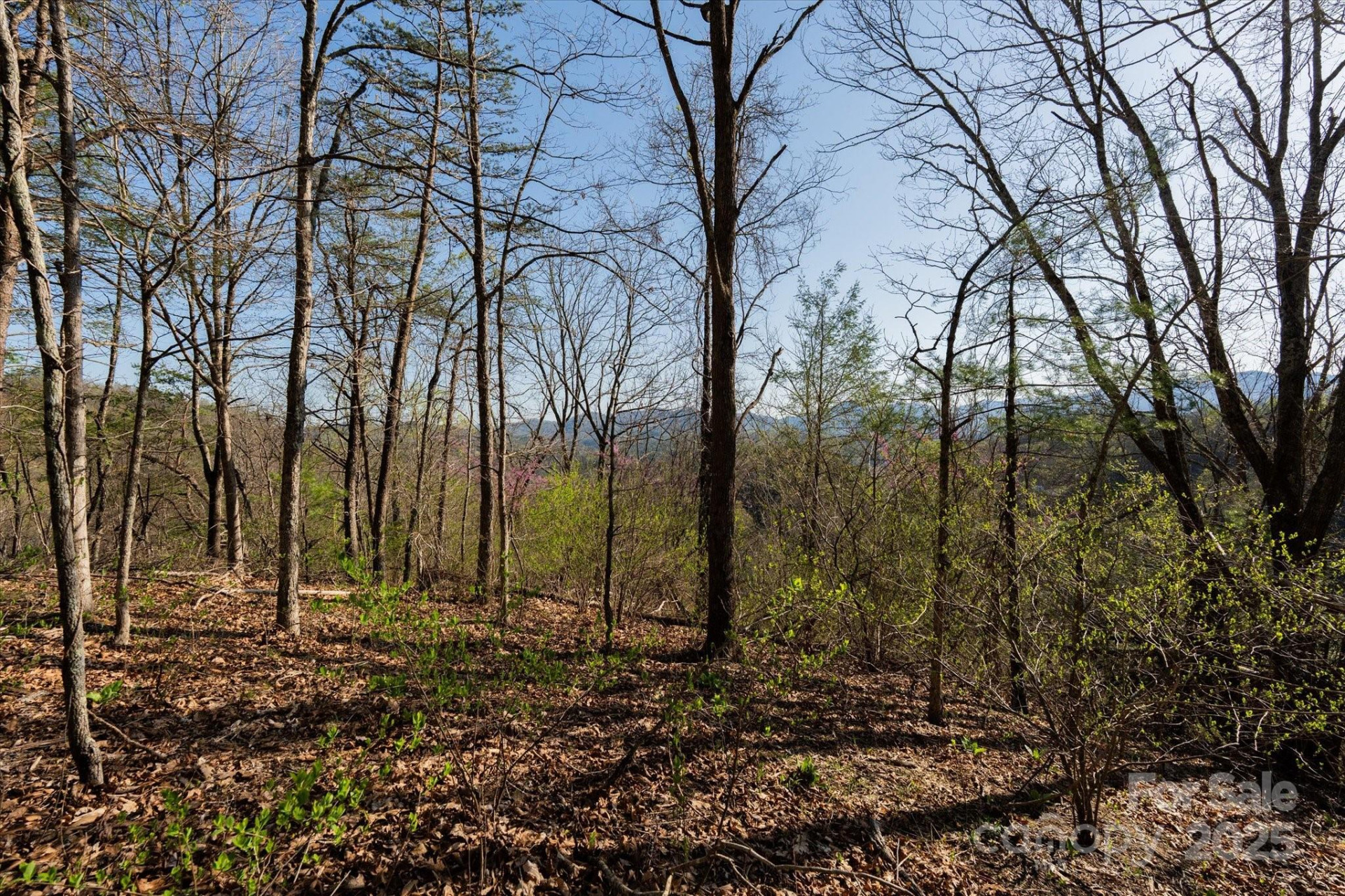 TBD Sweetwater Road - Photo 13