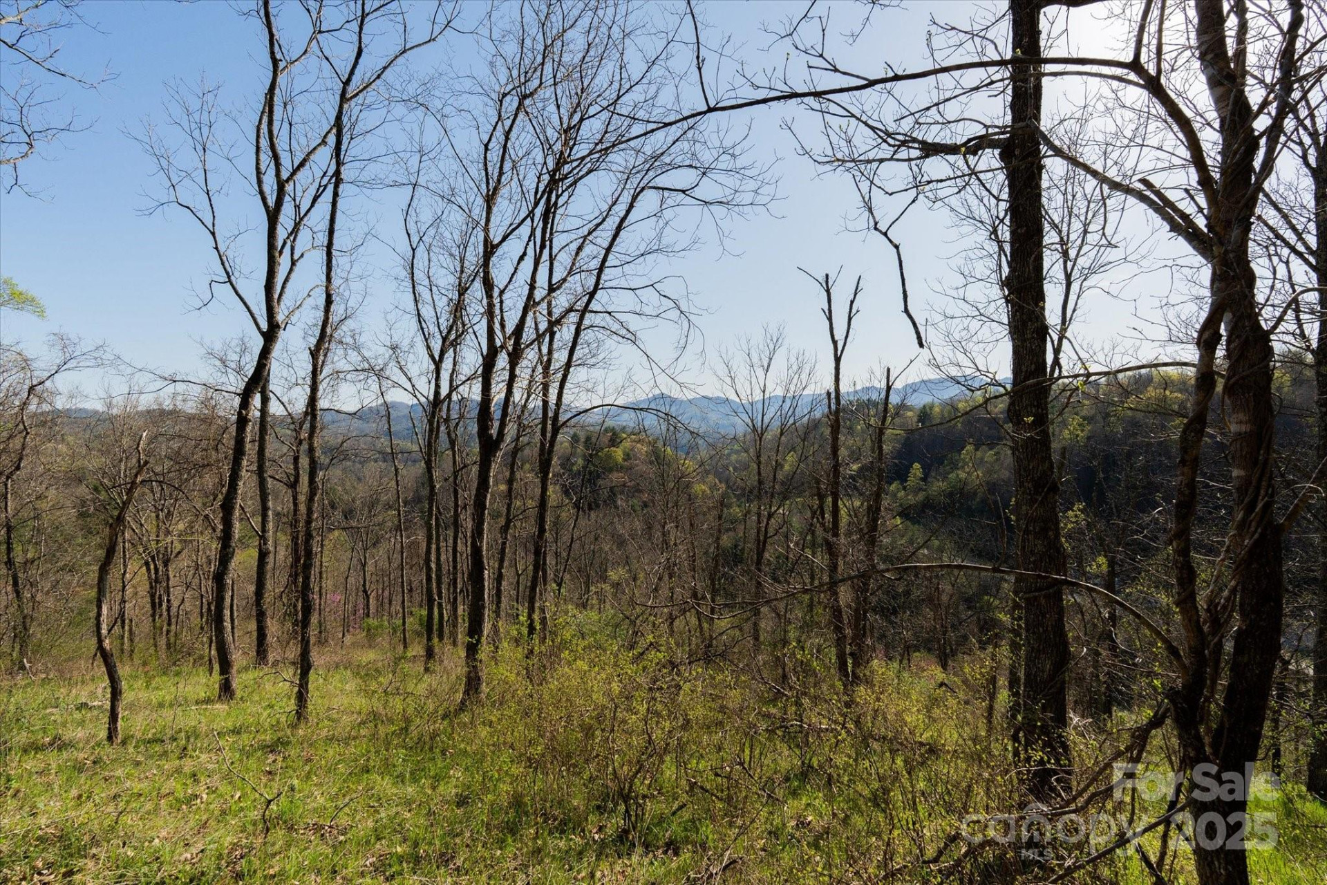 TBD Sweetwater Road - Photo 14